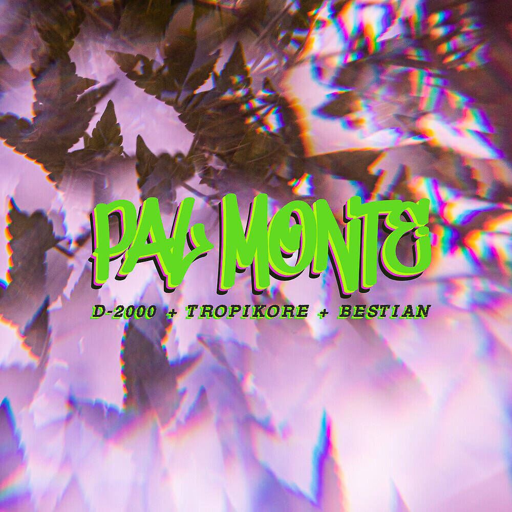 Релиз Pal Monte