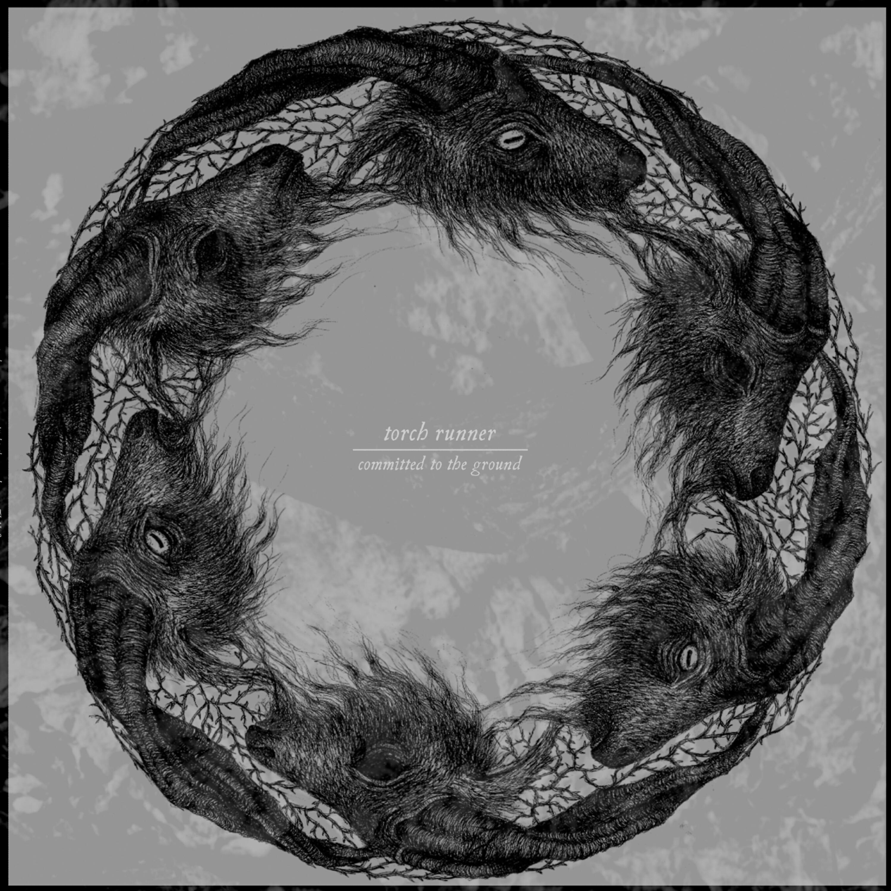 Релиз Committed To The Ground