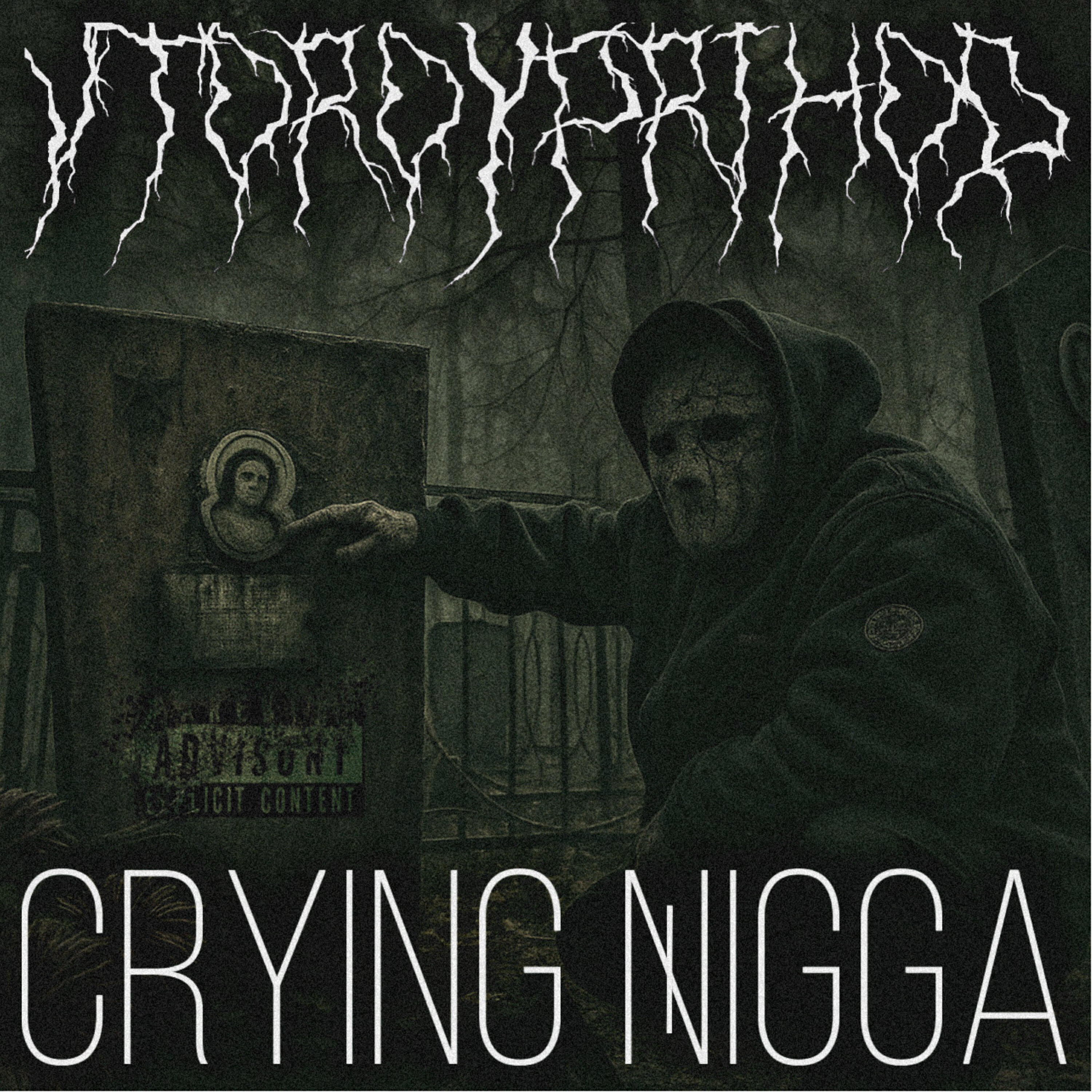 Постер альбома Crying Nigga