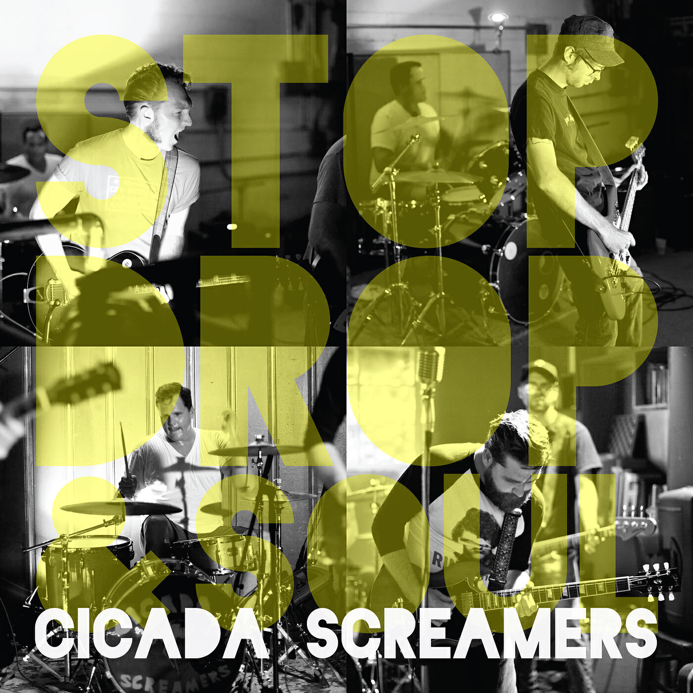 Cicada Screamers