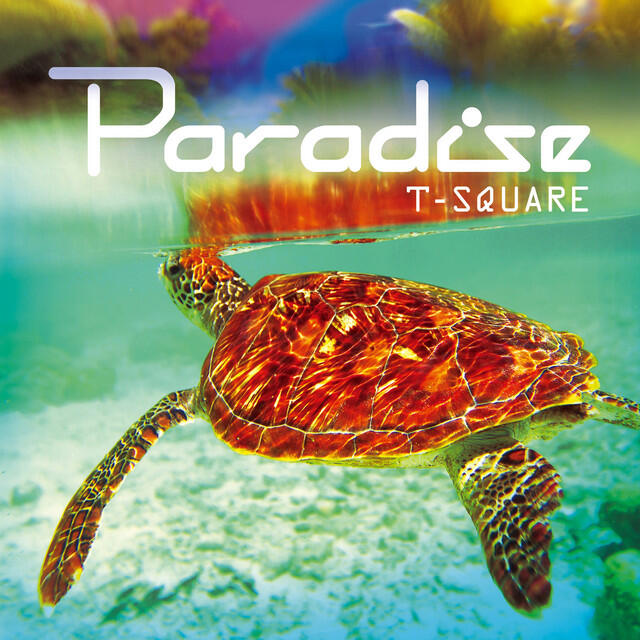 Релиз PARADISE