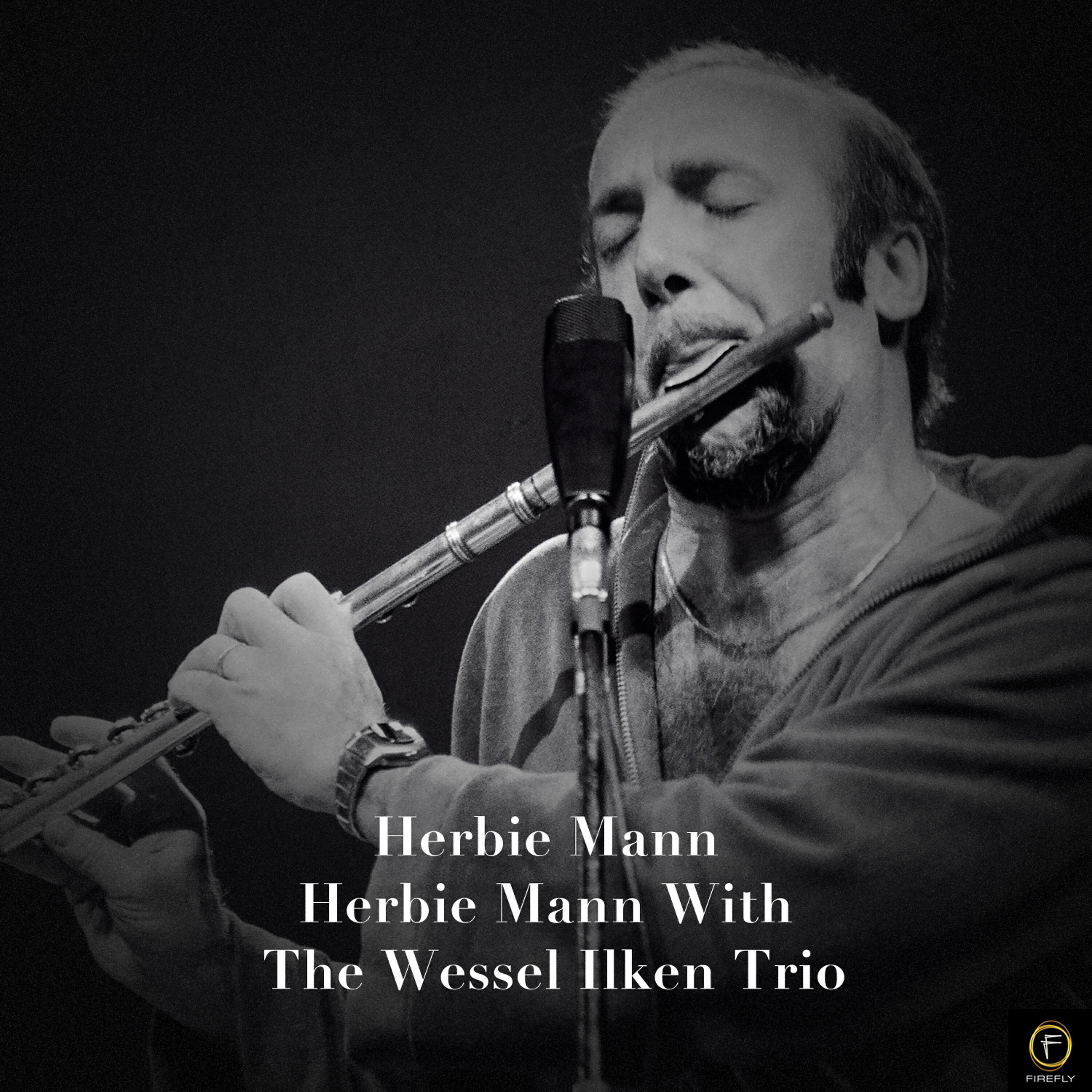 The Wessel Ilken Trio