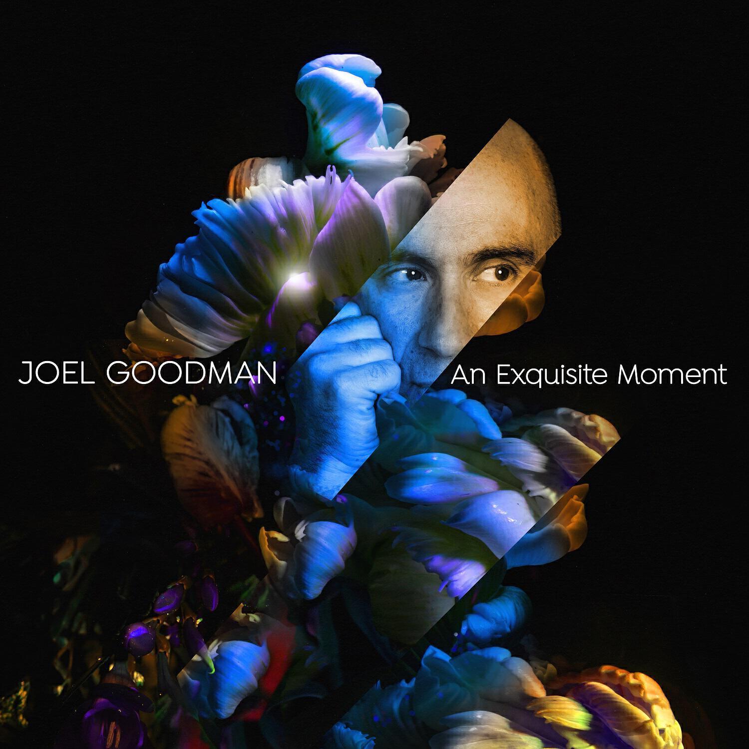 Joel Goodman