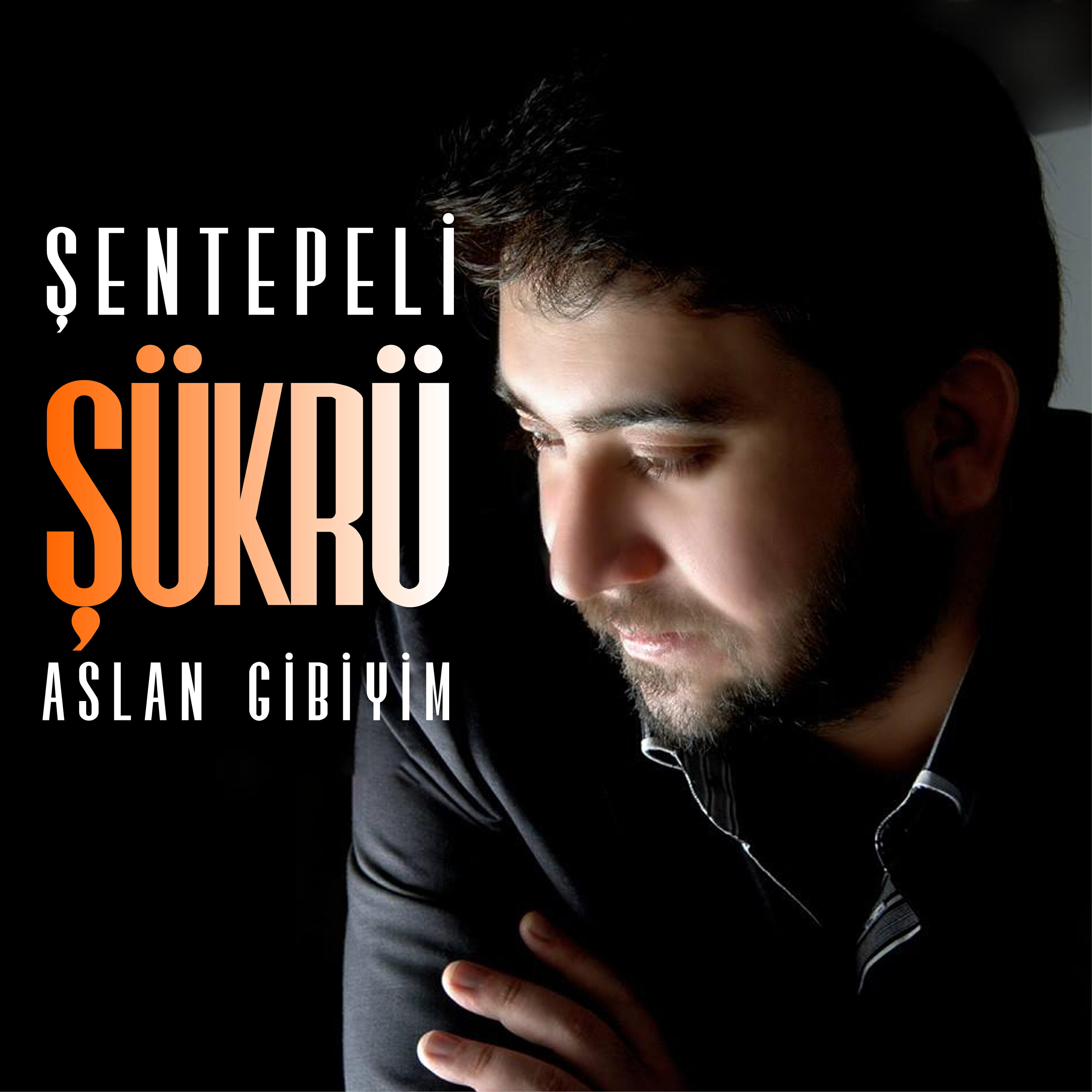 Релиз Aslan Gibiyim