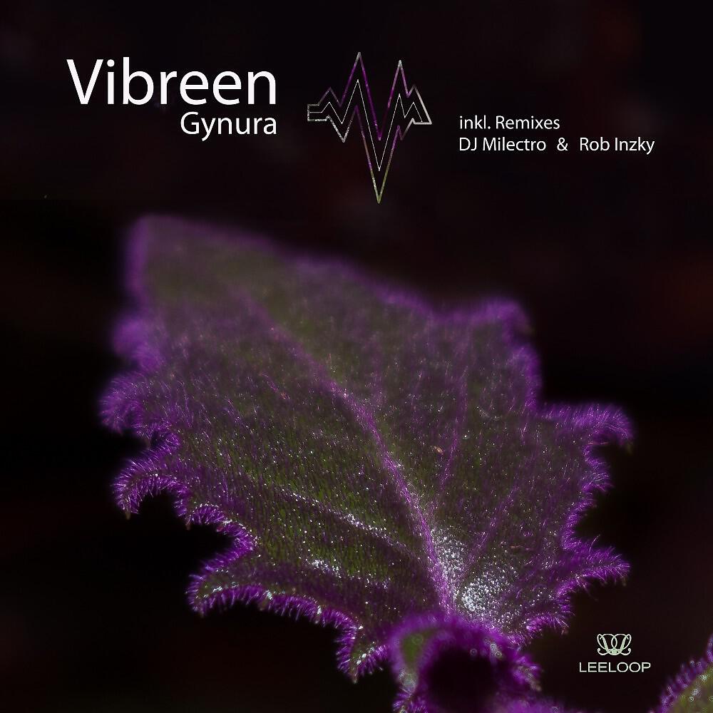 Релиз Gynura