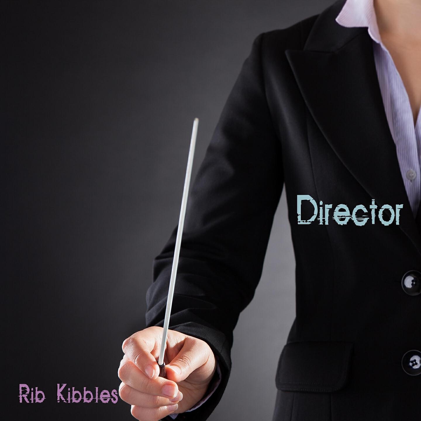 Релиз Director