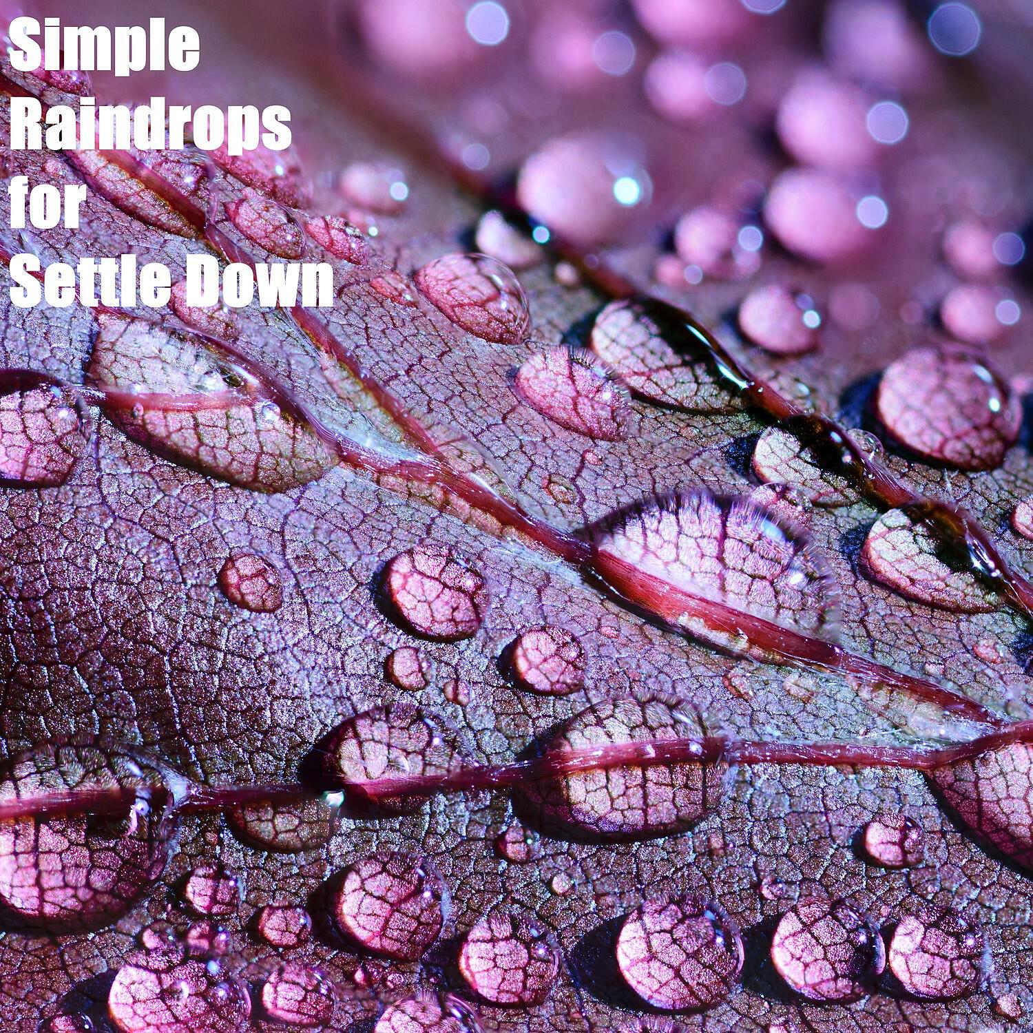 Релиз Simple Raindrops for Settle Down