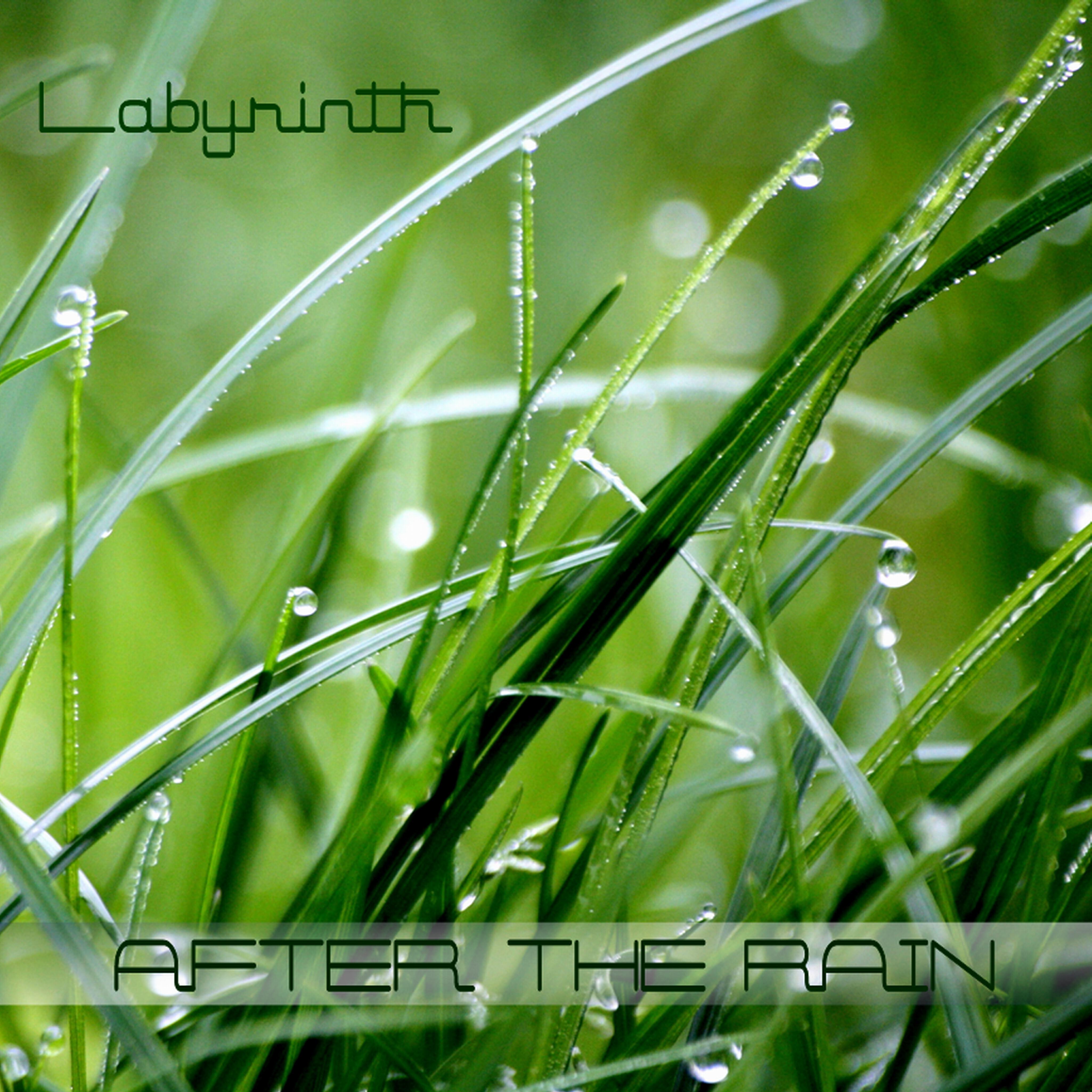 Релиз After the Rain