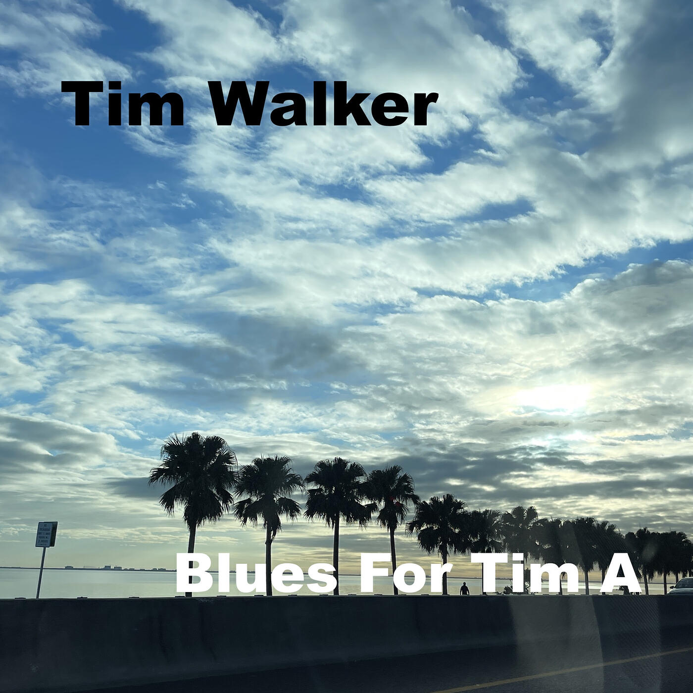 Релиз Blues for Tim A