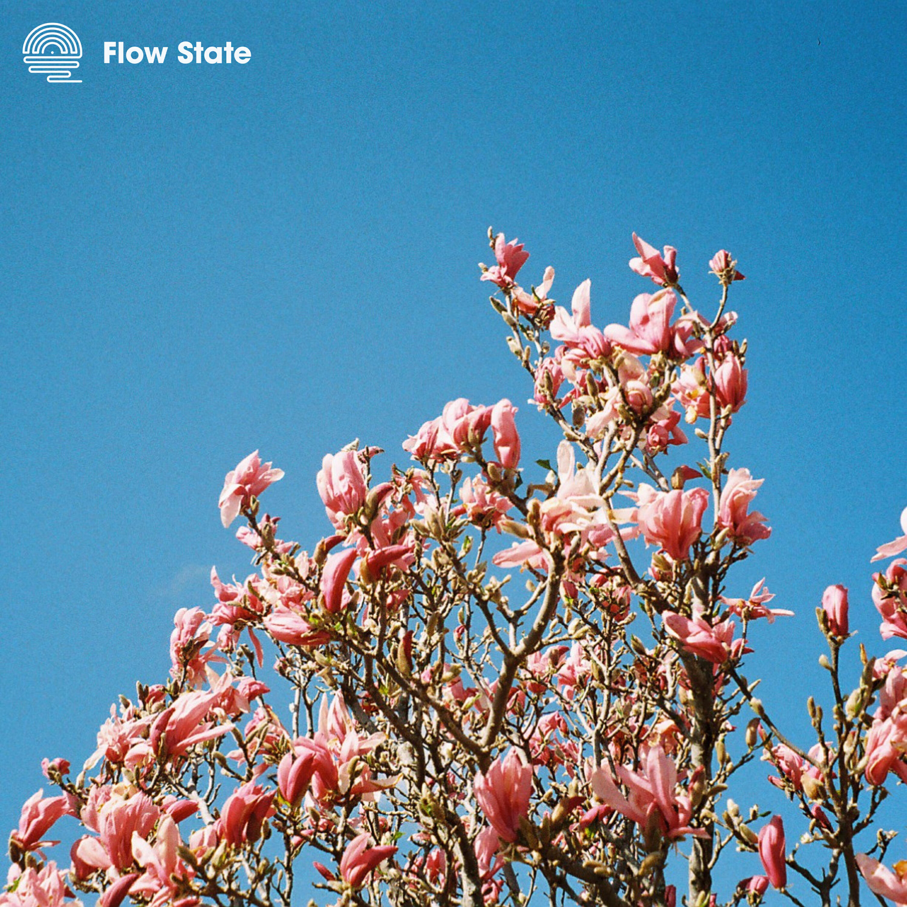 Релиз Flowers