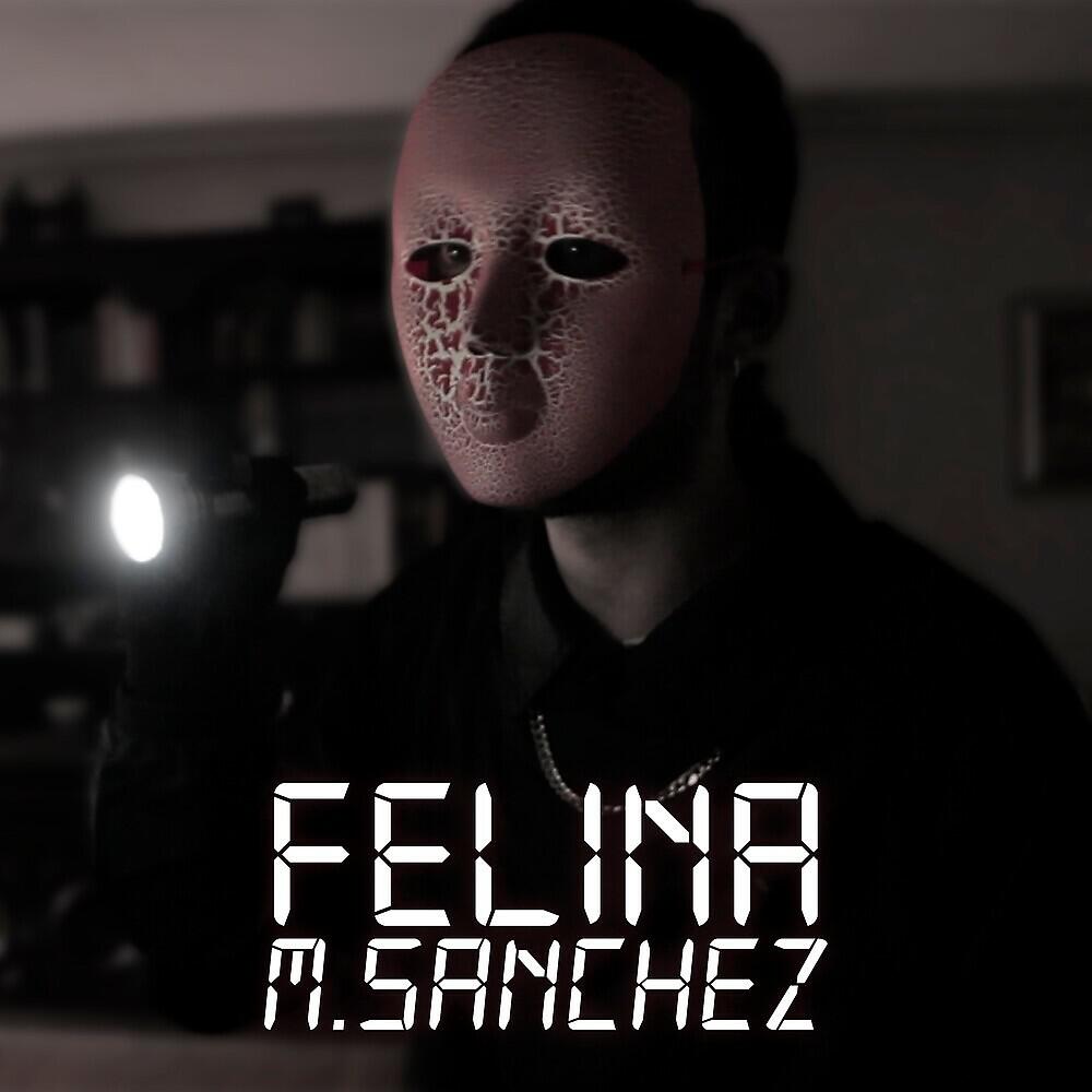 Релиз Felina