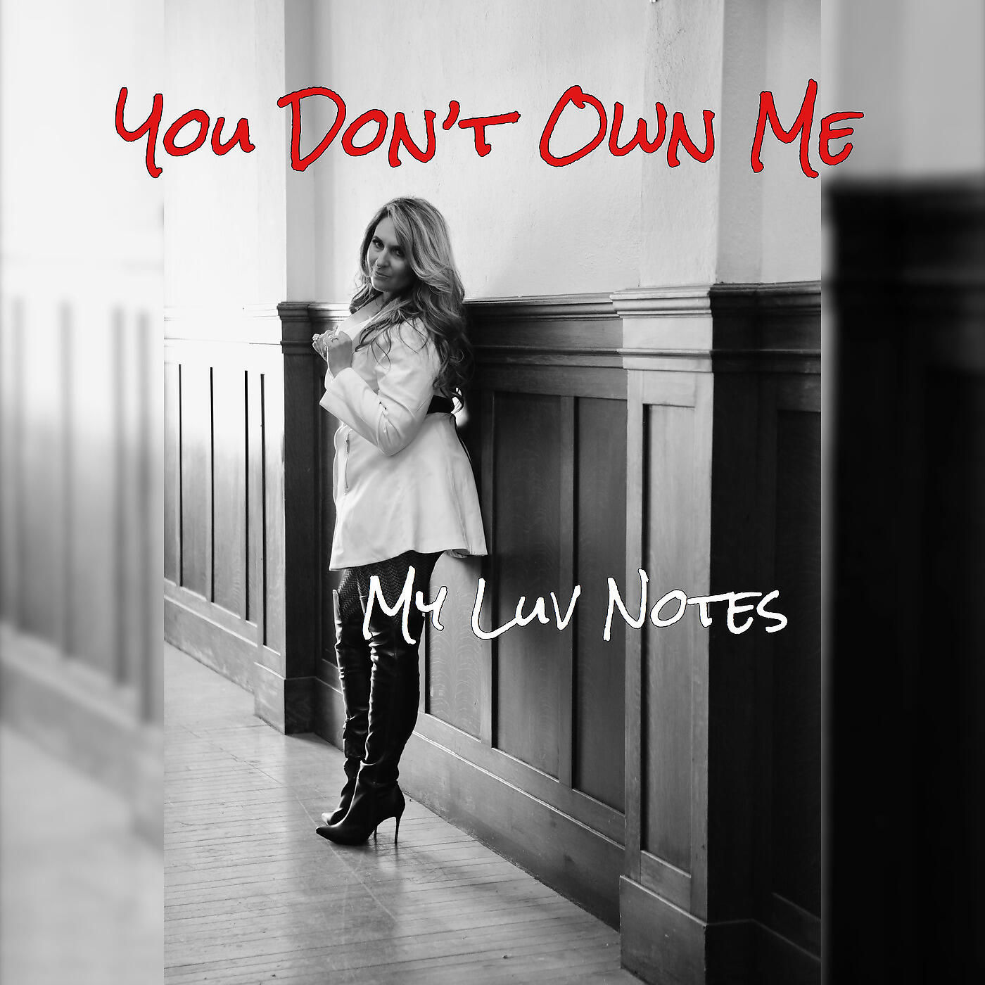 Релиз You Don't Own Me