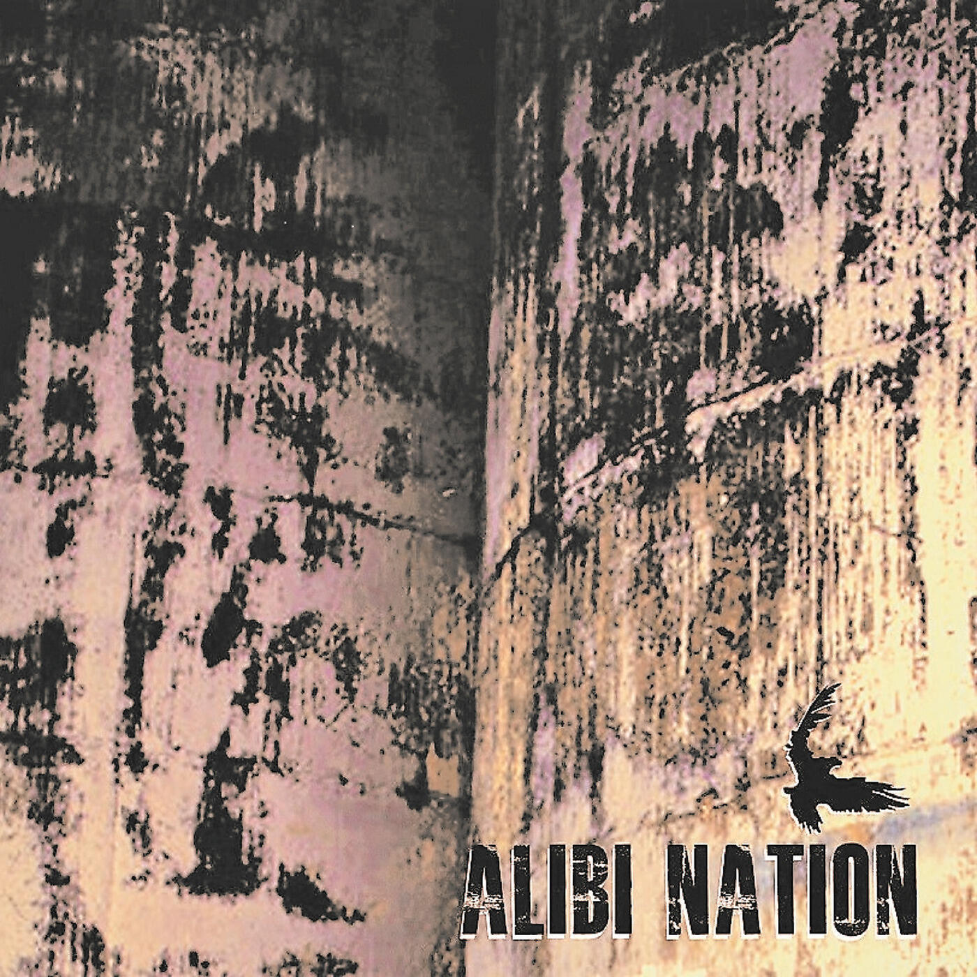 Alibi Nation