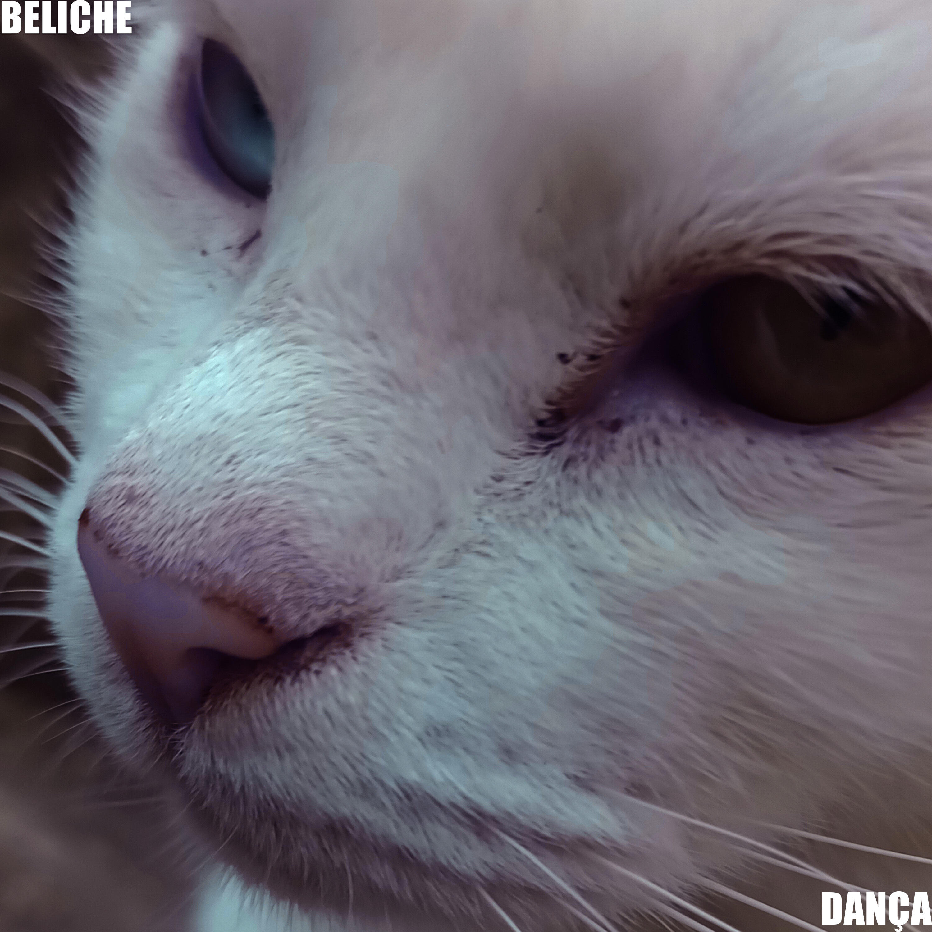 Постер альбома Dança