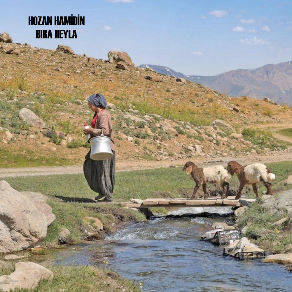 Hozan Hamdin