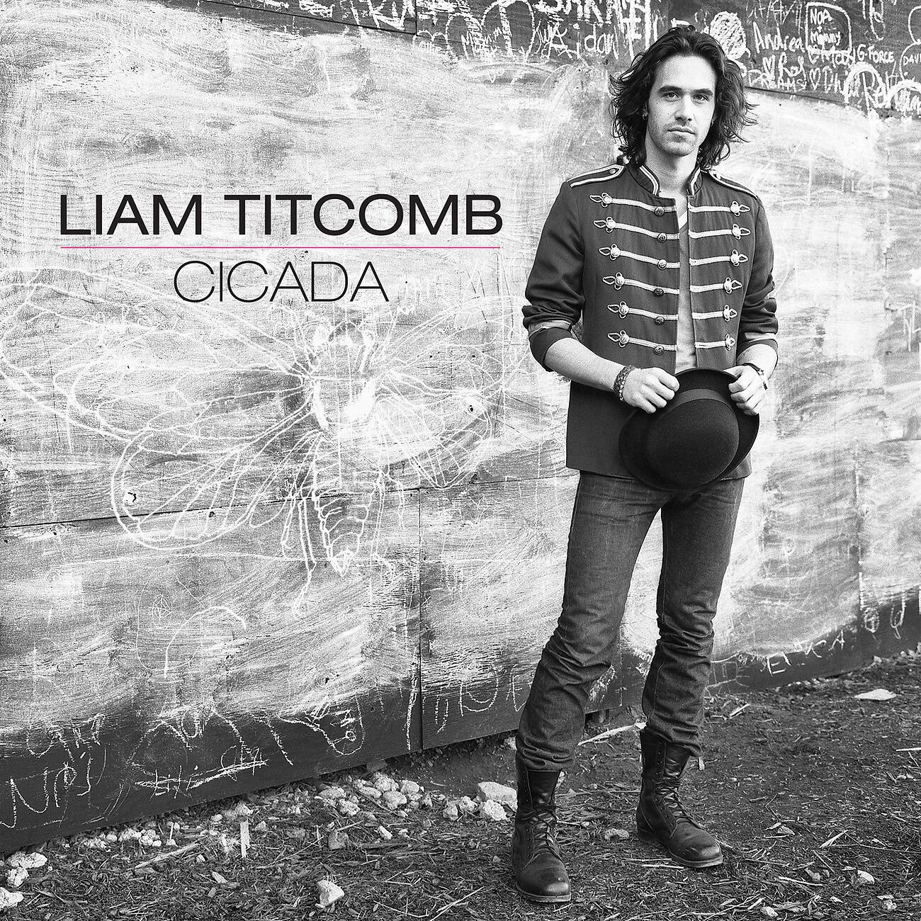 Релиз CICADA