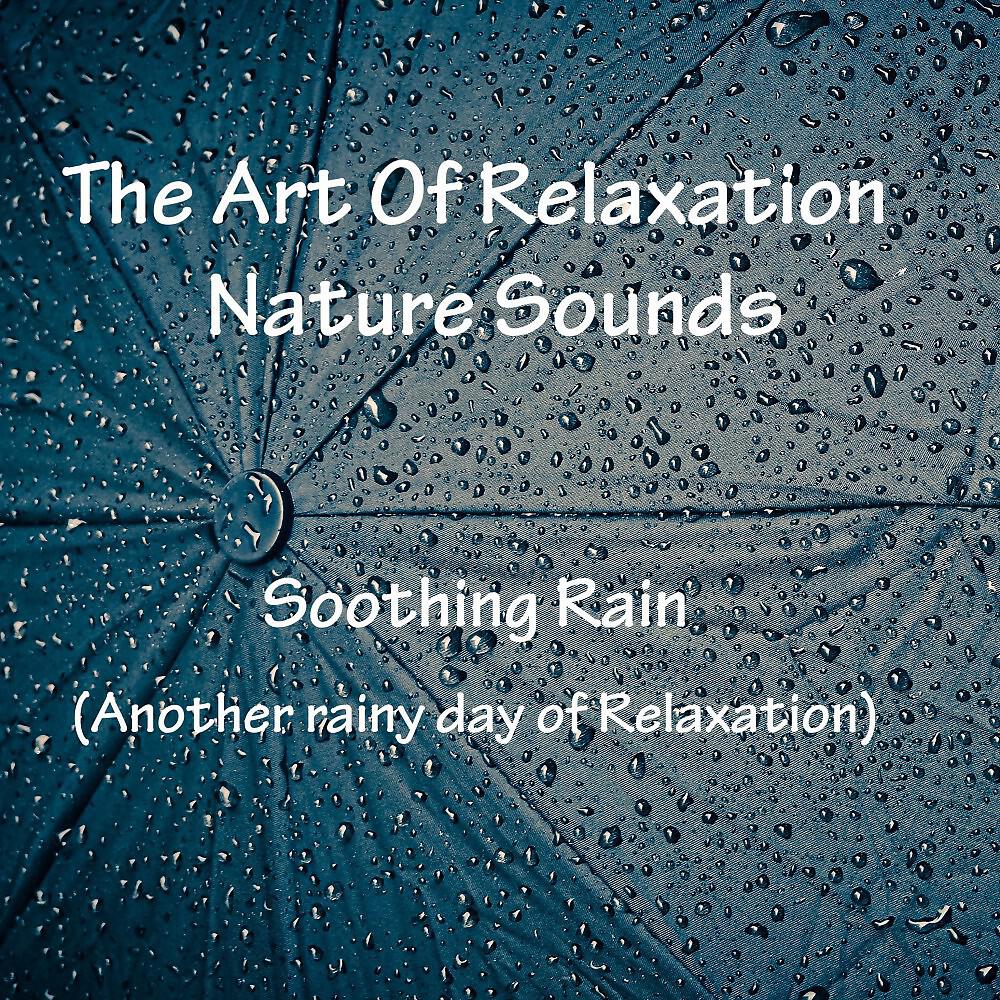 Релиз Soothing Rain (Another Rainy Day of Relaxation)