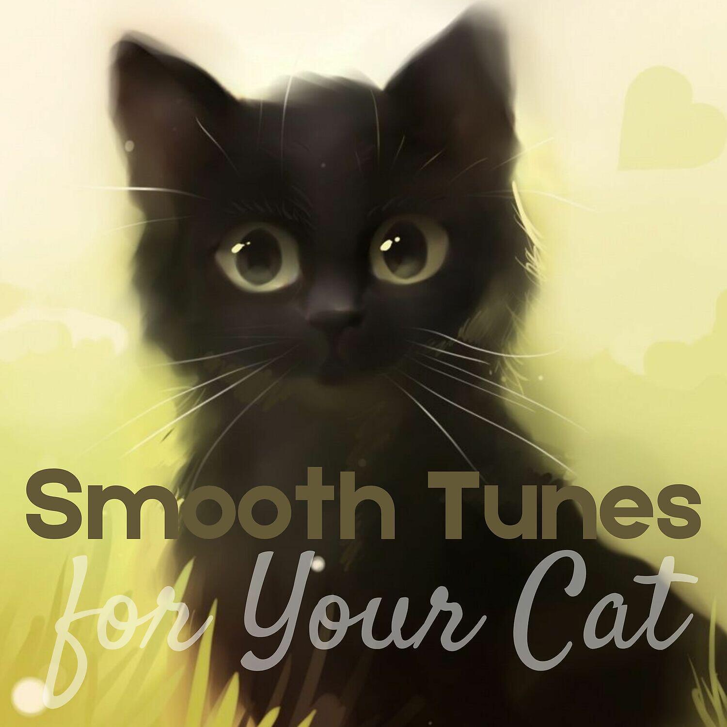 Релиз Smooth Tunes for Your Cat