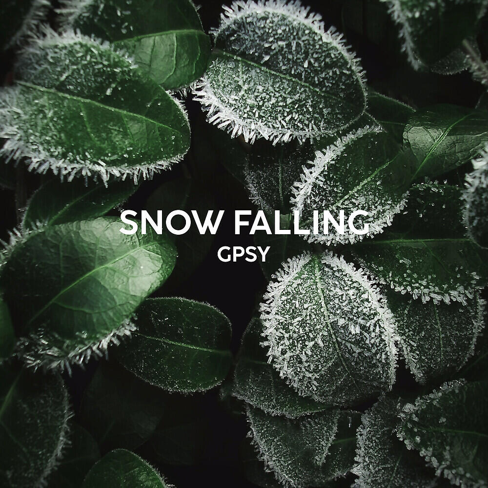 Релиз Snow Falling