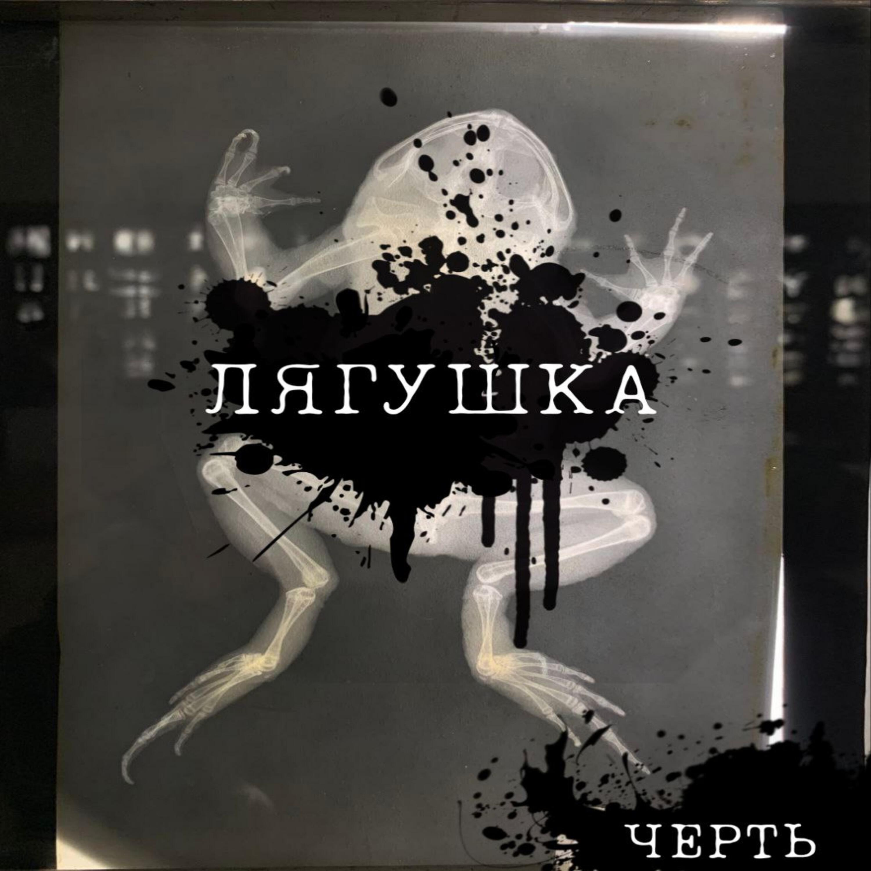 Релиз Лягушка
