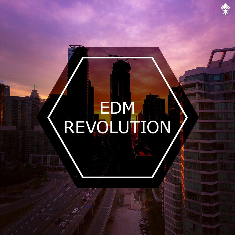 Релиз EDM Revolution