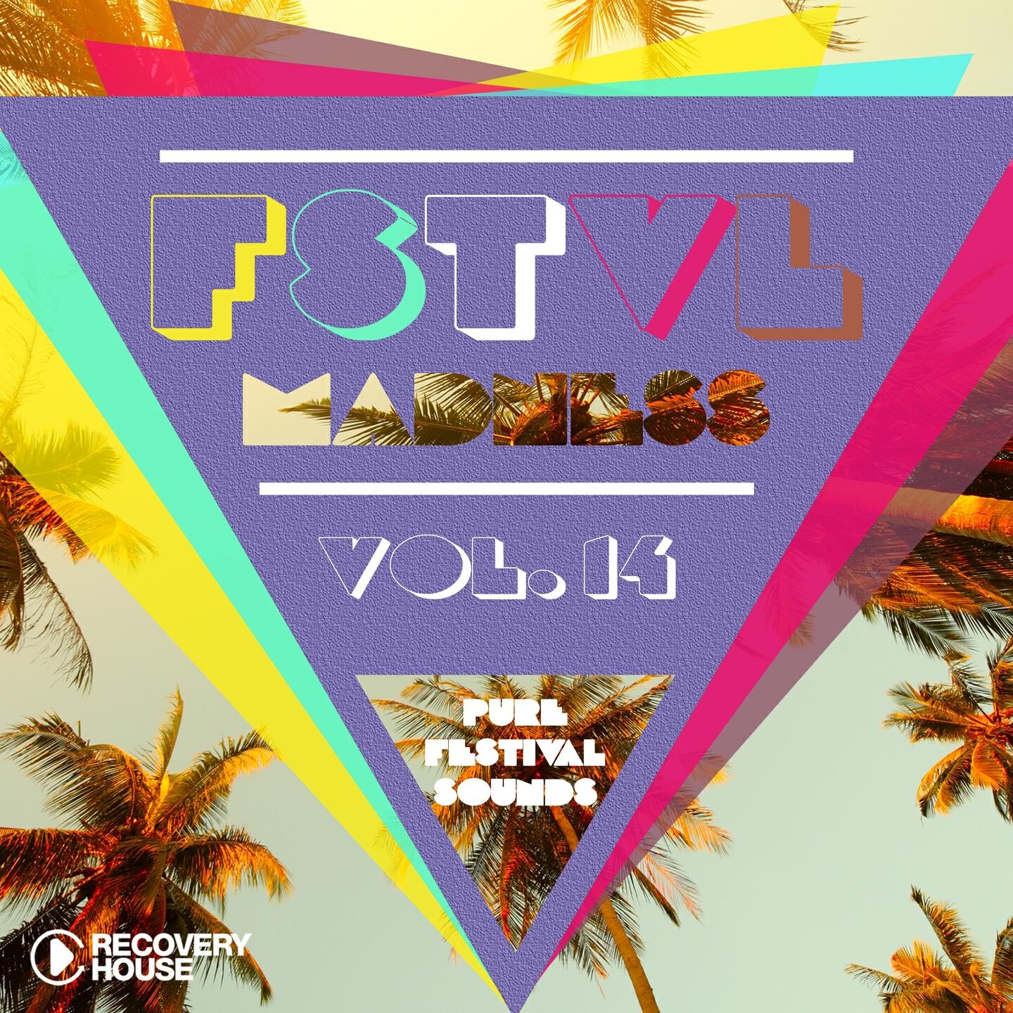 Релиз FSTVL Madness, Vol. 14 - Pure Festival Sounds