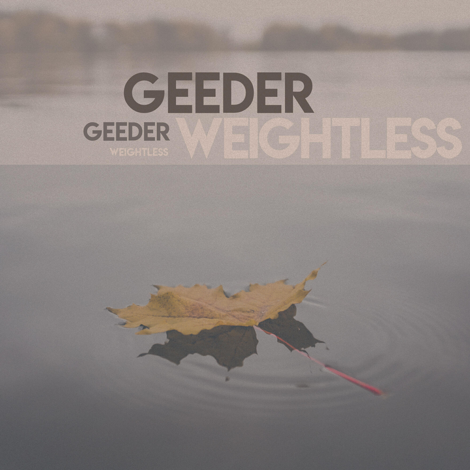 Релиз Weightless