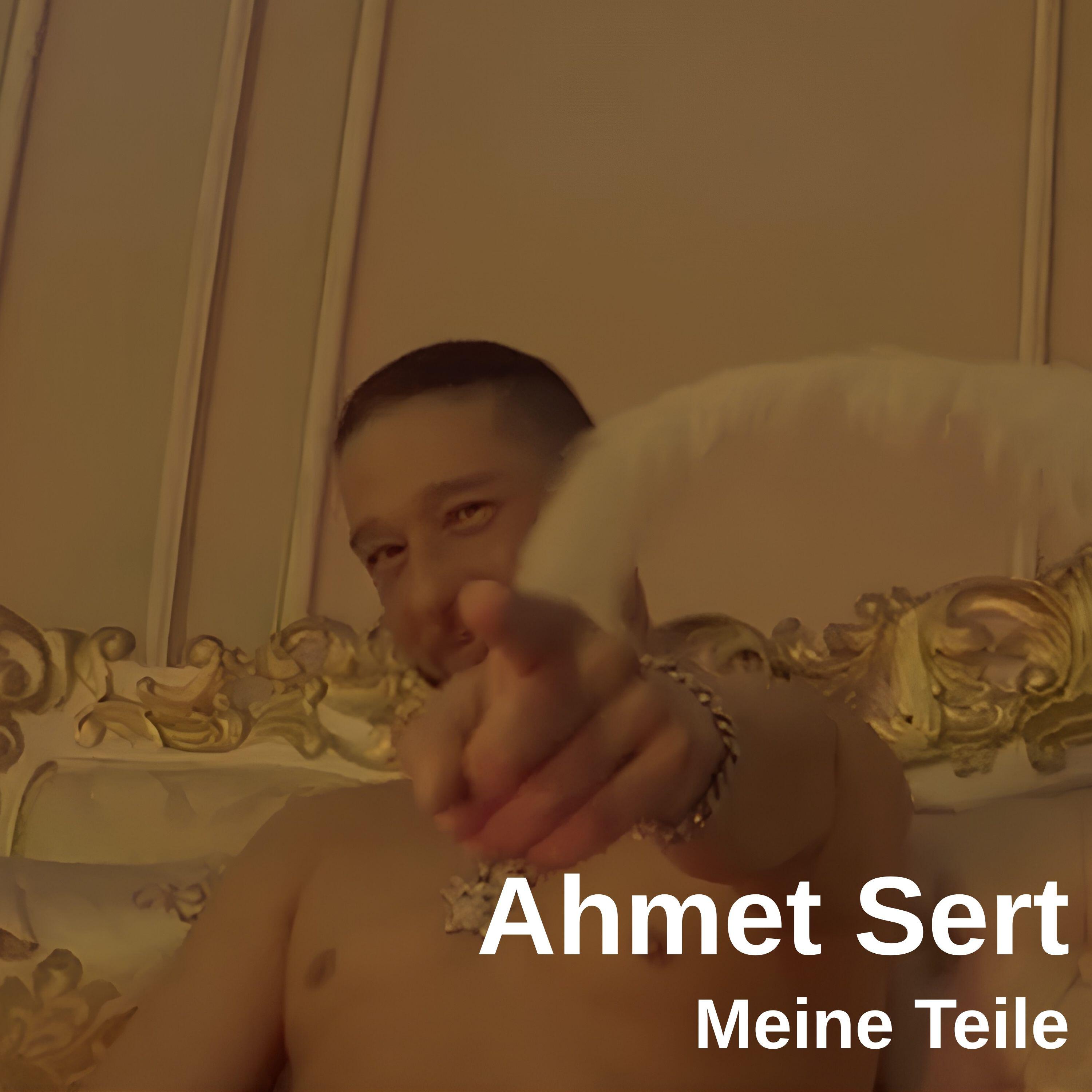 Релиз Meine Teile