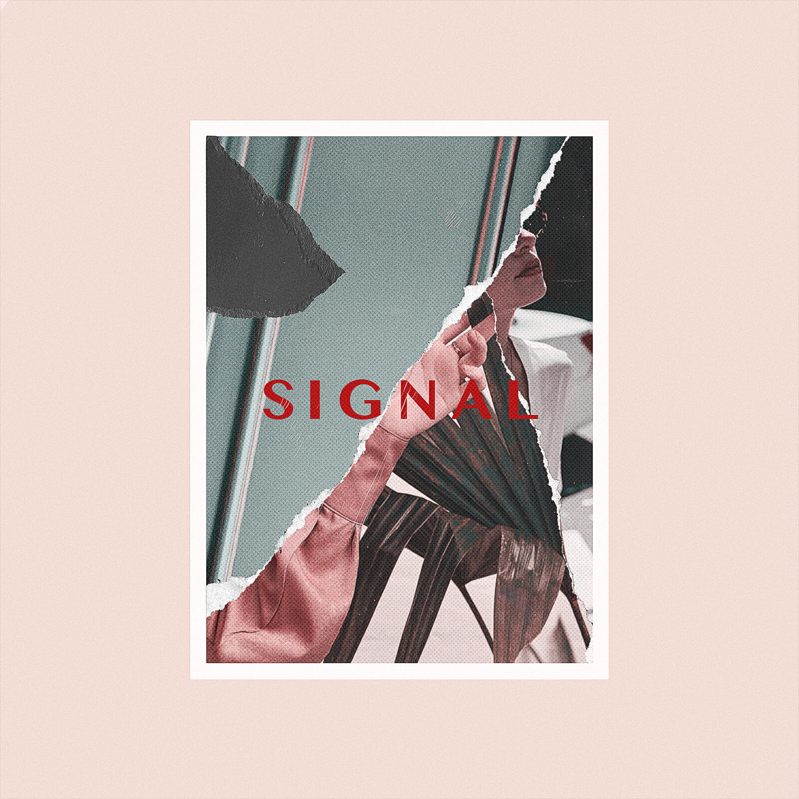 Релиз Signal