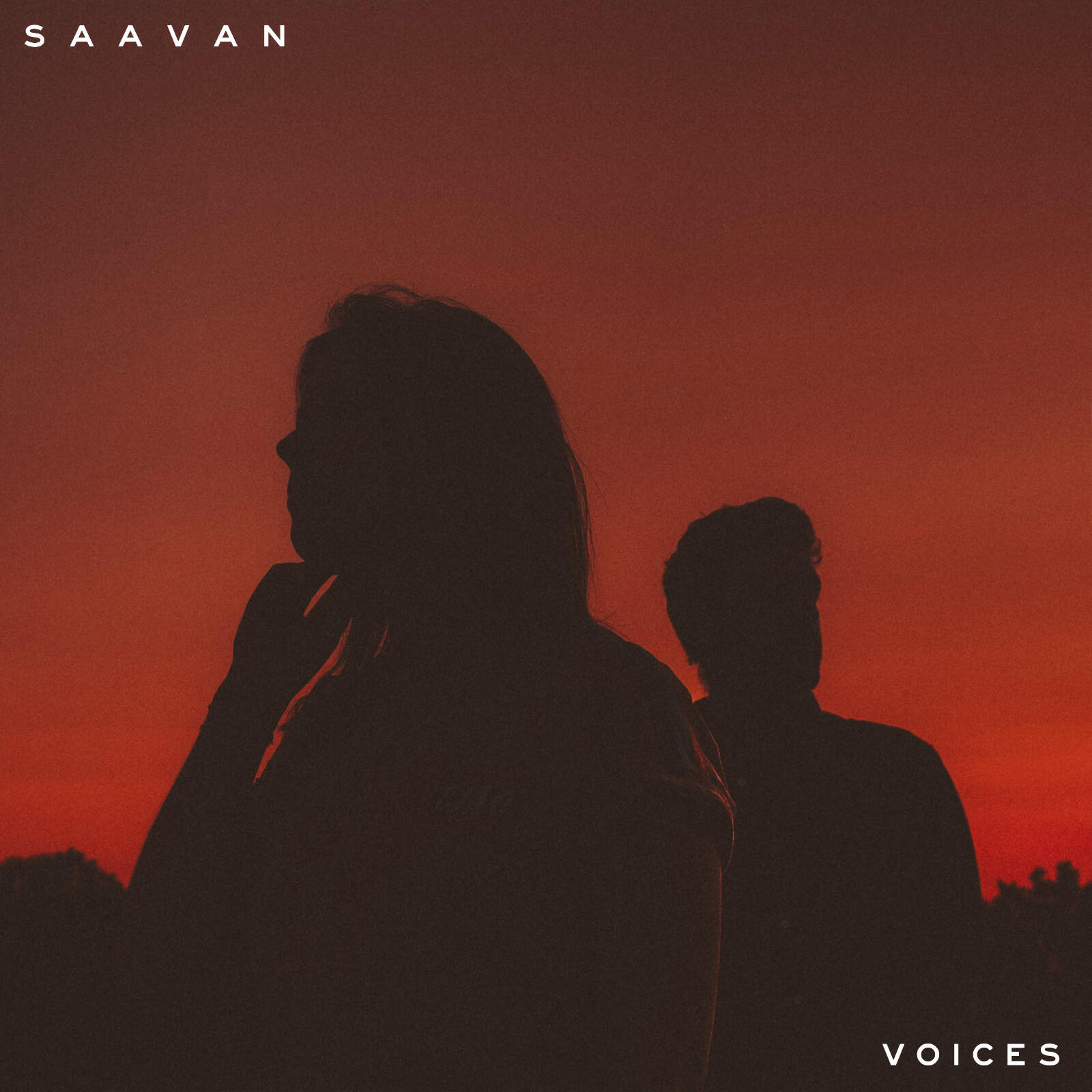 Релиз Voices