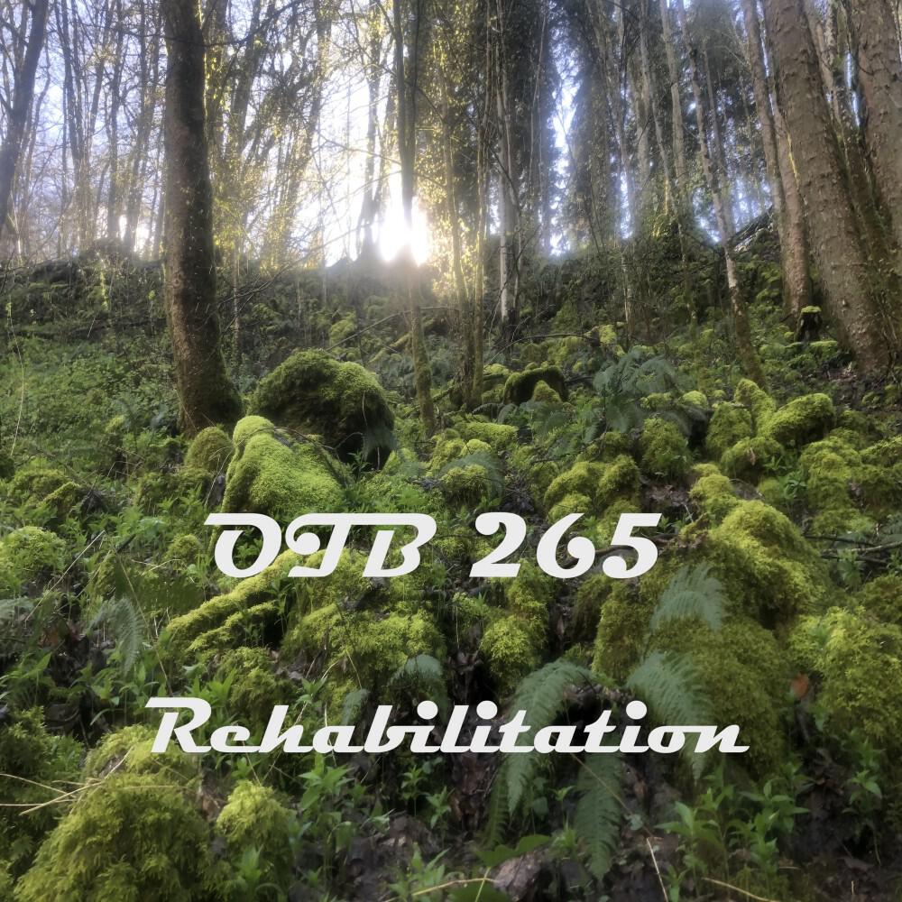 Релиз Rehabilitation (Radio Edit)