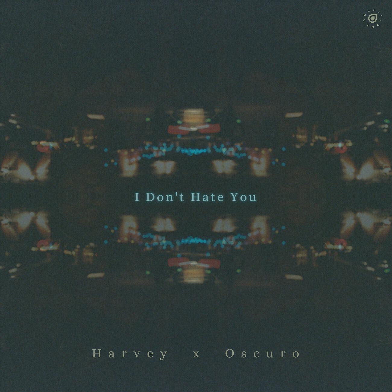 Релиз I Don't Hate You