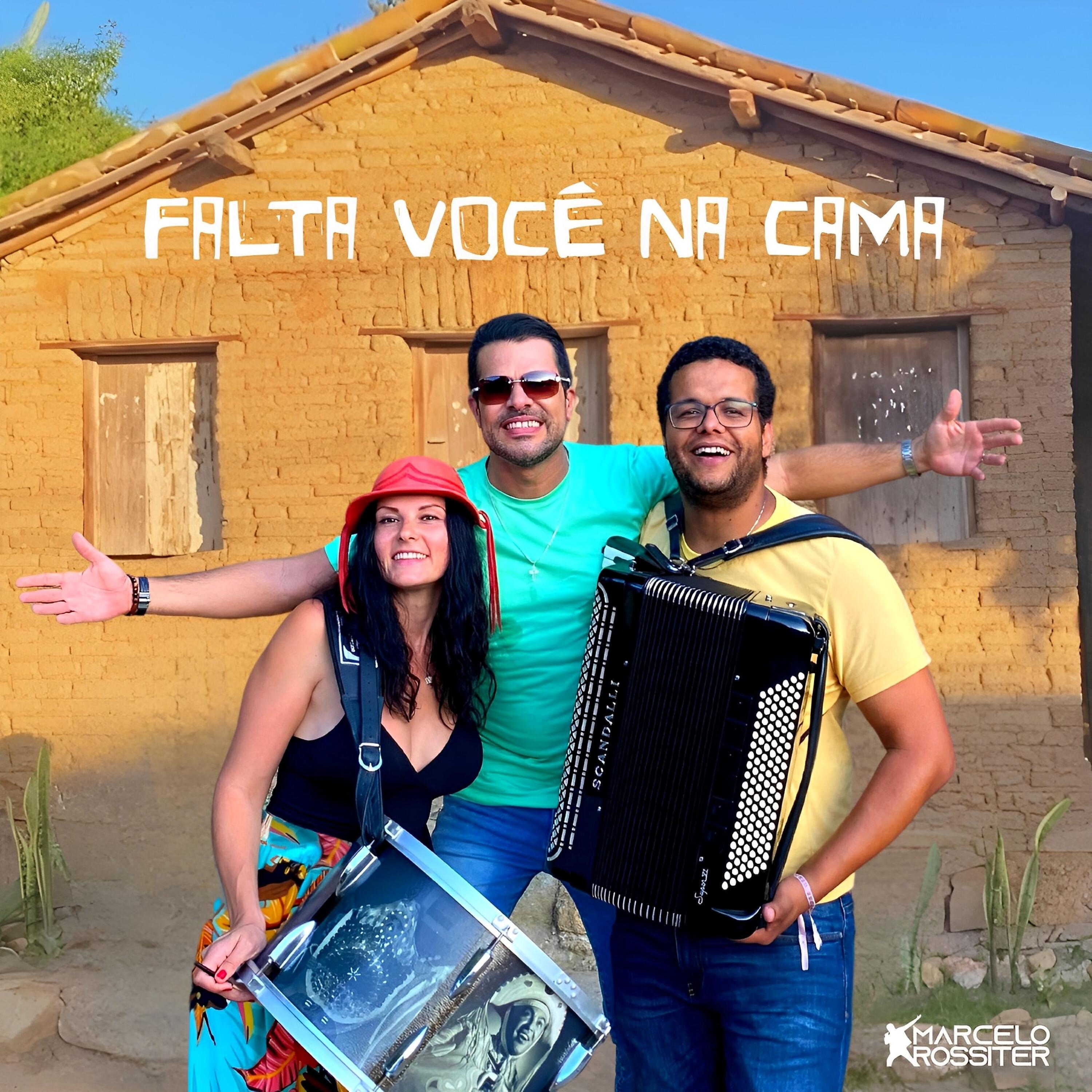 Релиз Falta Você na Cama