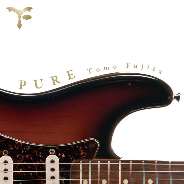 Релиз Pure (feat. Will Lee, Steve Gadd, Bernard Purdie & Steve Jordan)