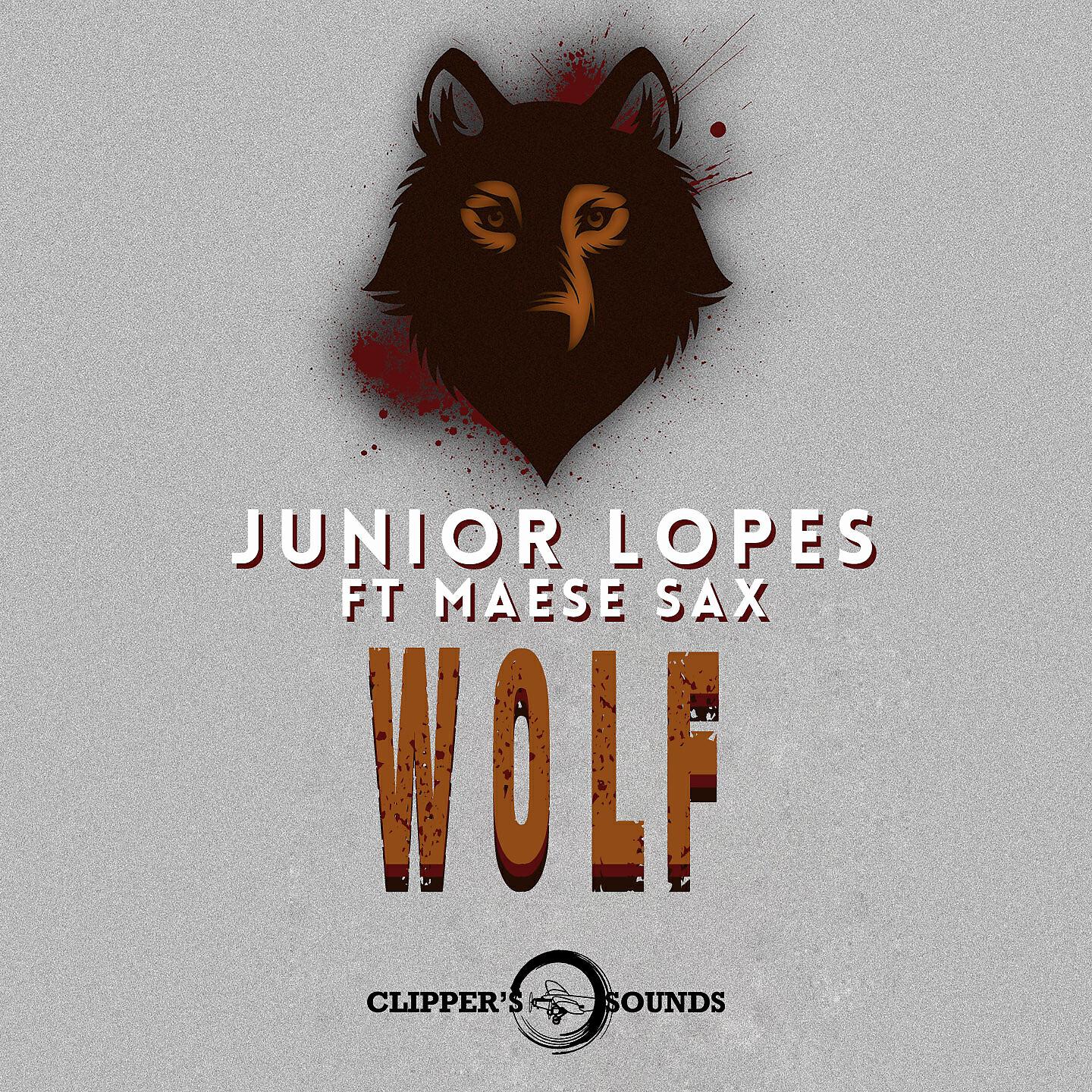 Релиз Wolf