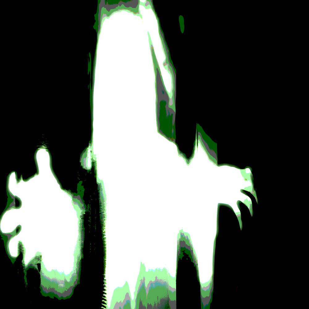 leenk
