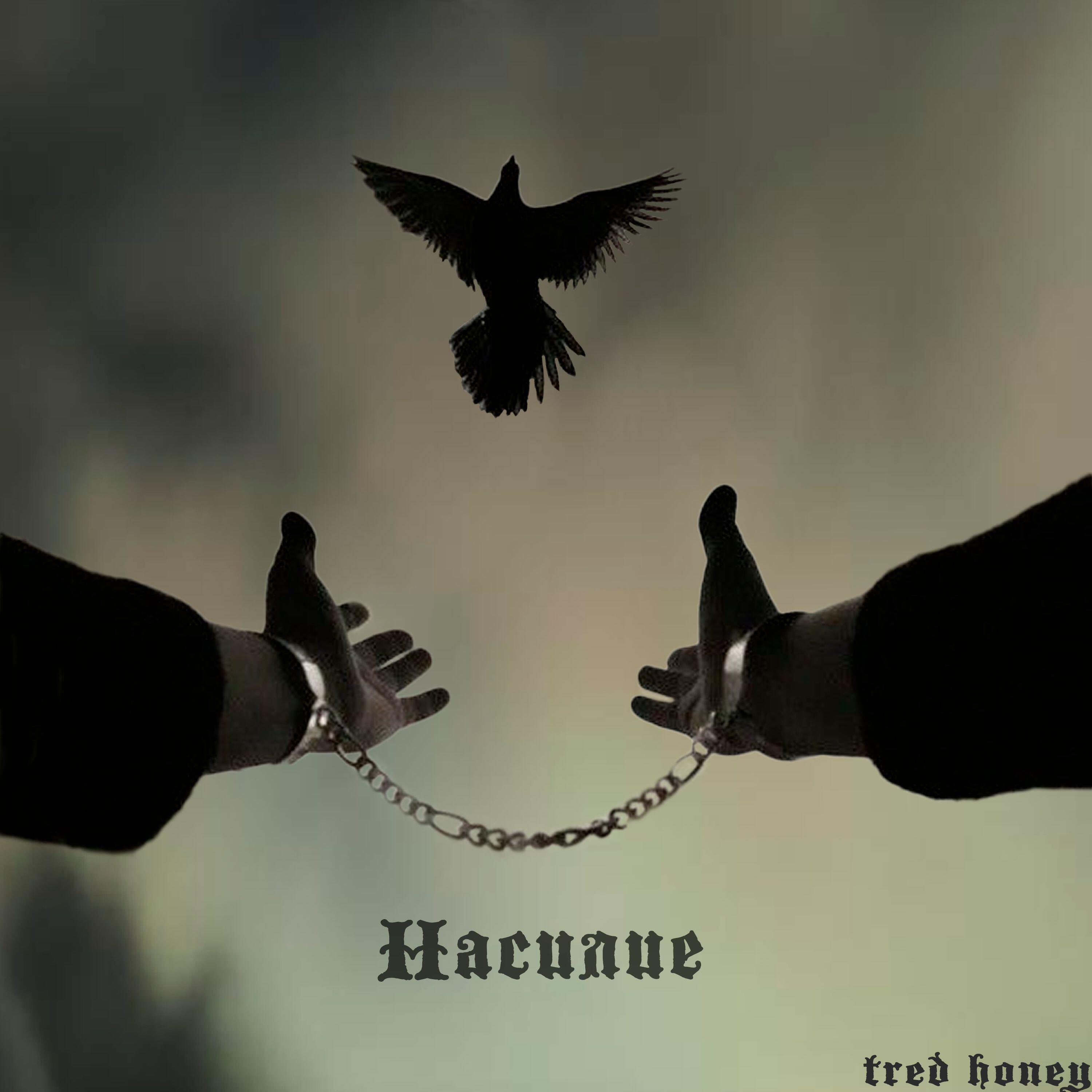 Релиз насилие