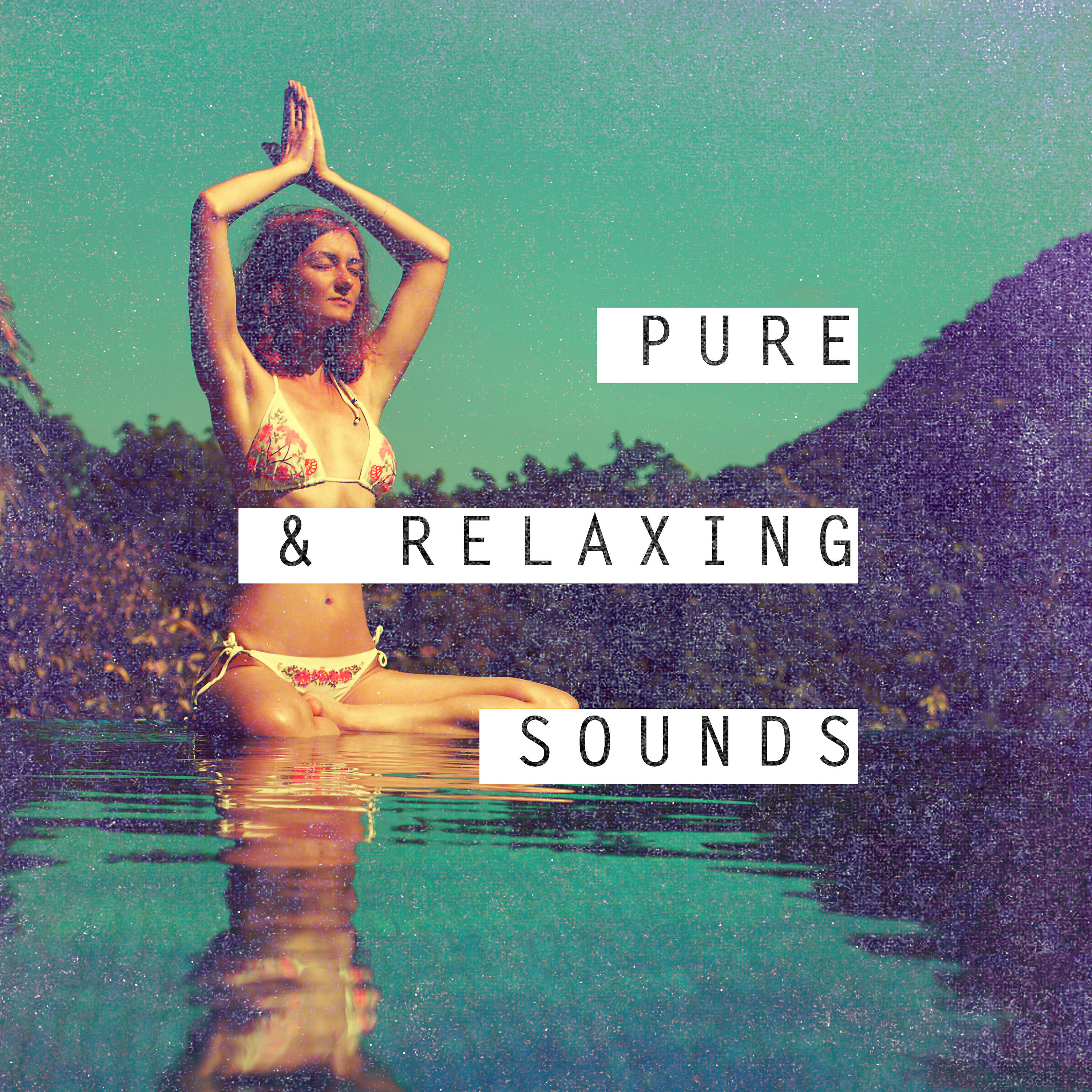 Релиз Pure & Relaxing Sounds