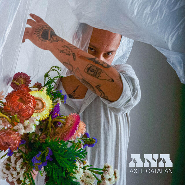 Релиз Ana