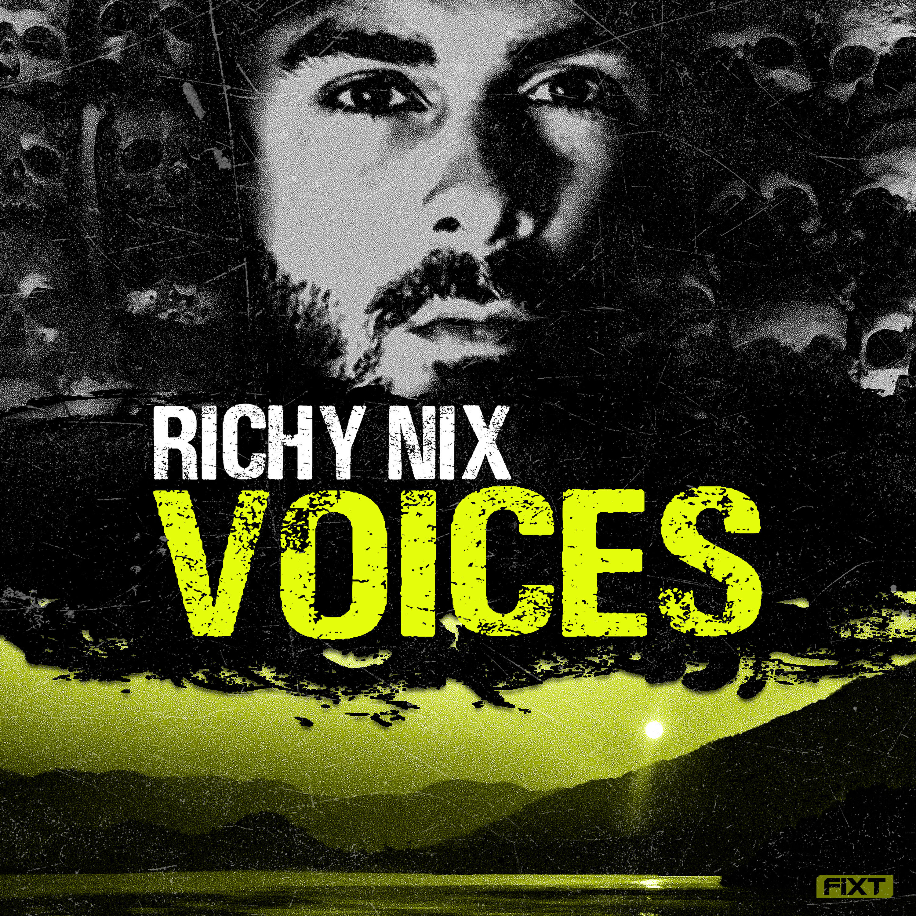 Релиз Voices