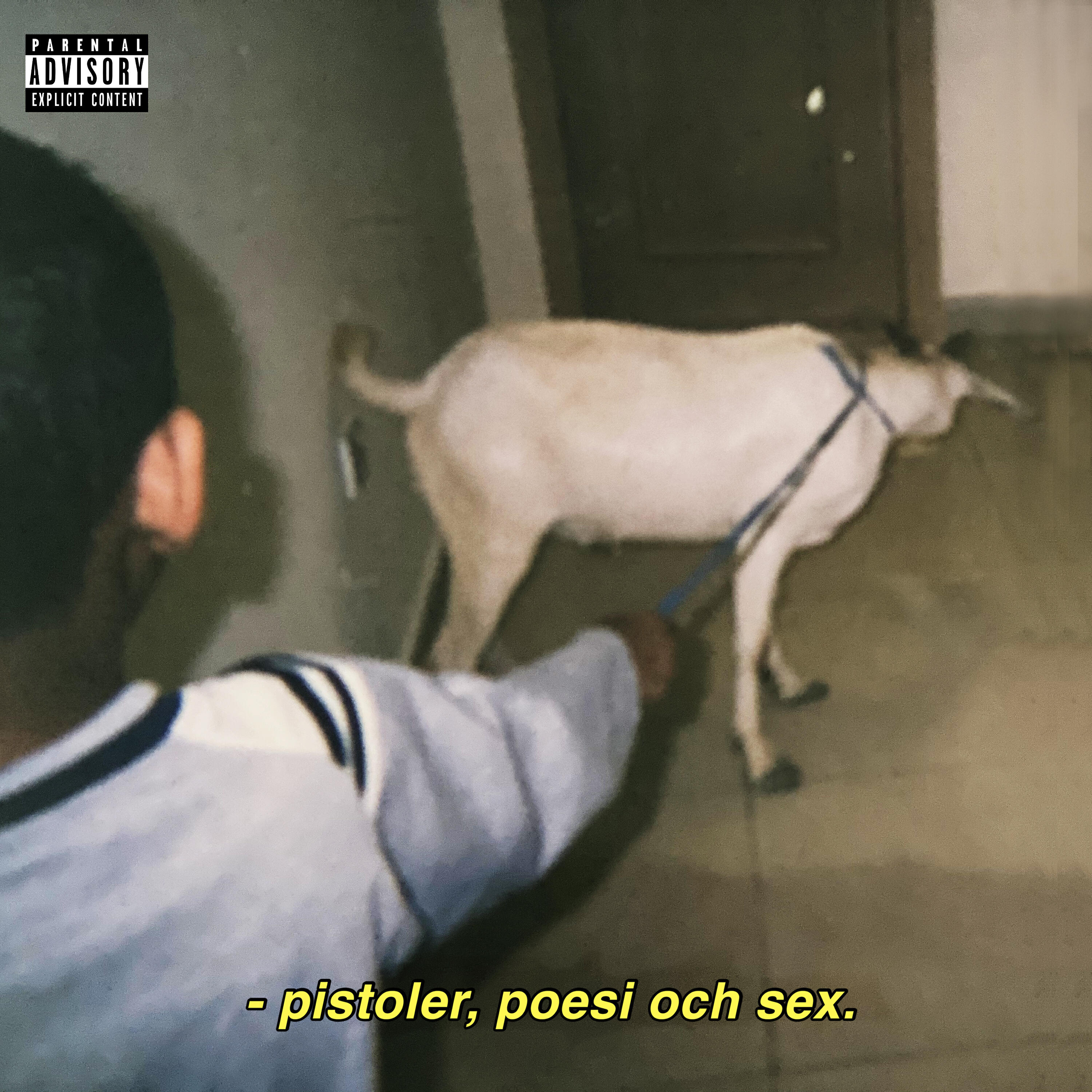 Релиз PISTOLER POESI OCH SEX