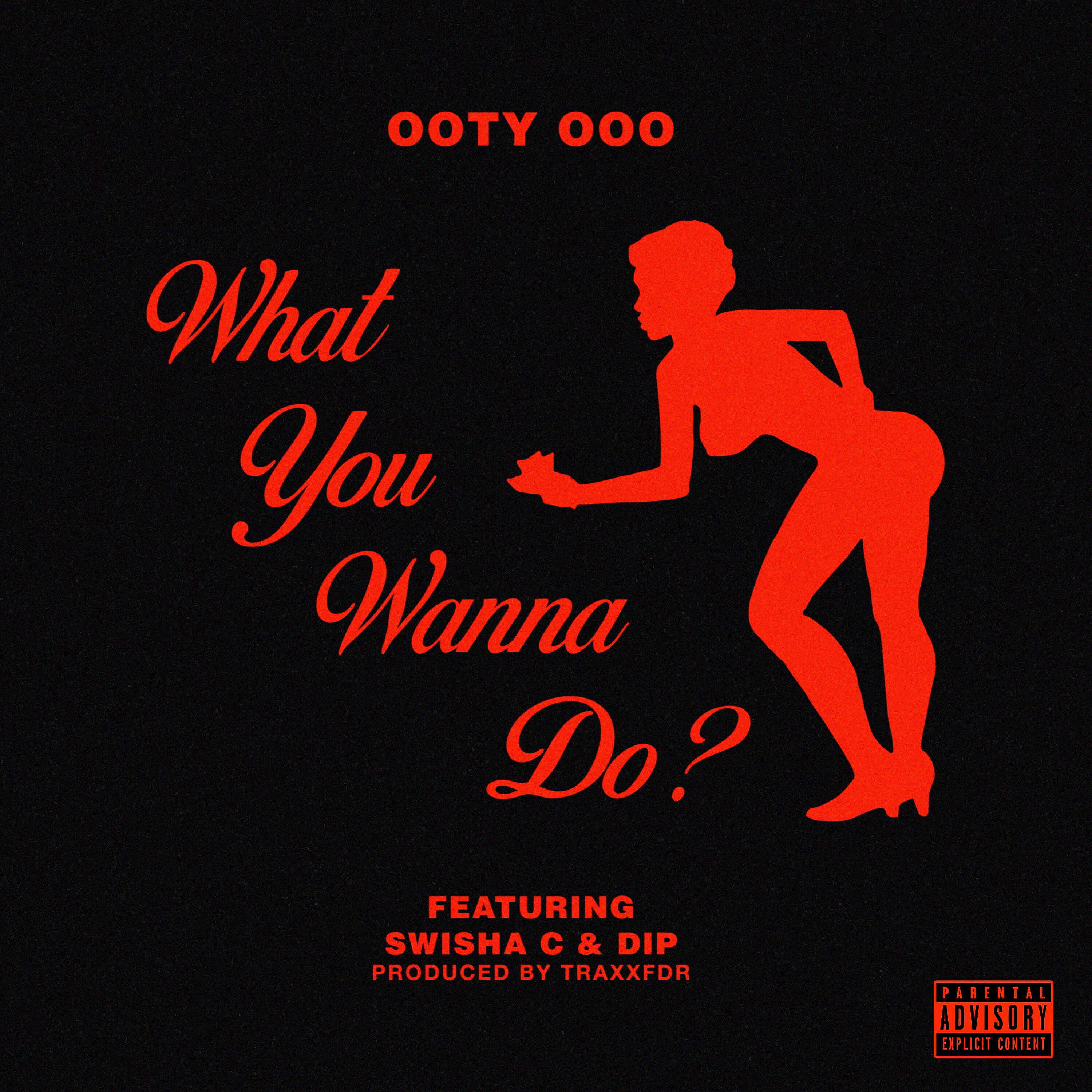 Релиз What You Wanna Do?