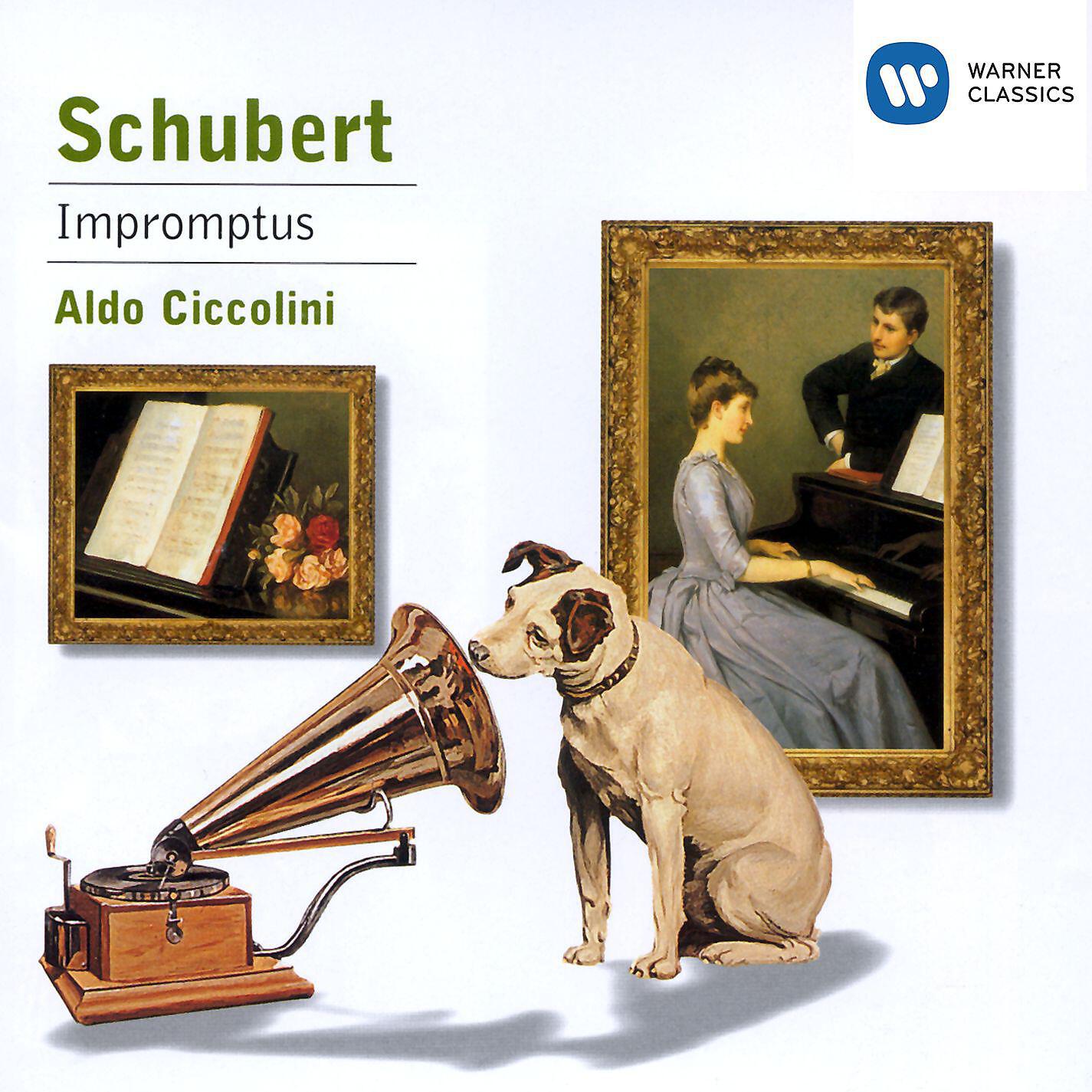 Постер альбома Schubert: Impromptus