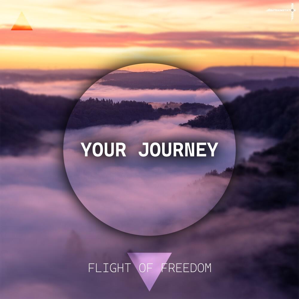 Релиз Flight of Freedom