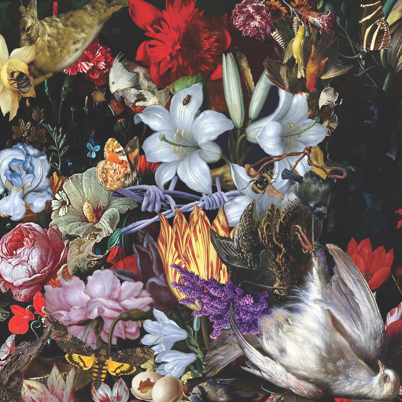 Релиз Perish The Thought