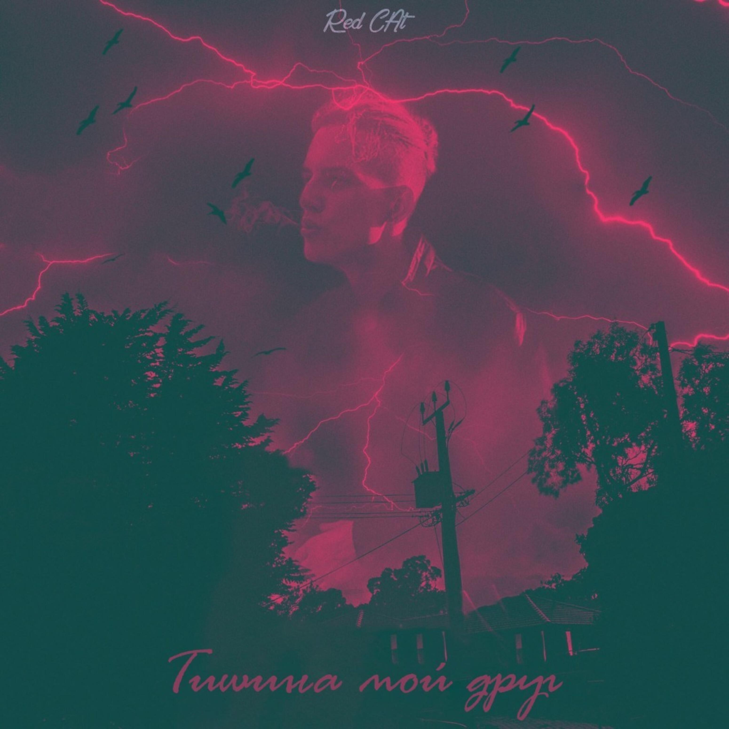 Постер альбома Тишина мой друг