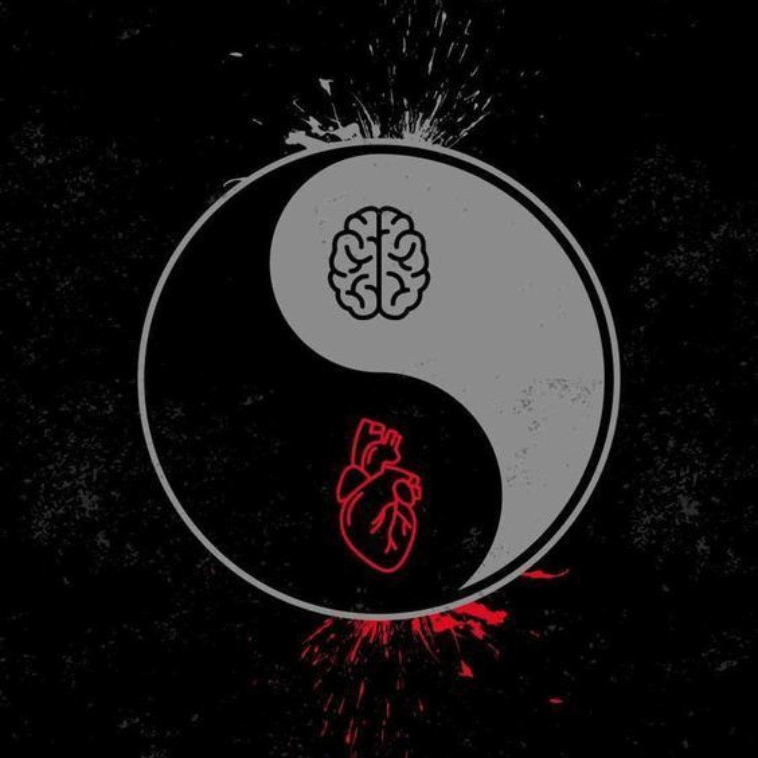 Релиз Vida Nova