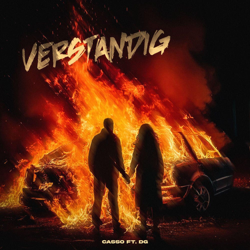 Релиз Verstandig