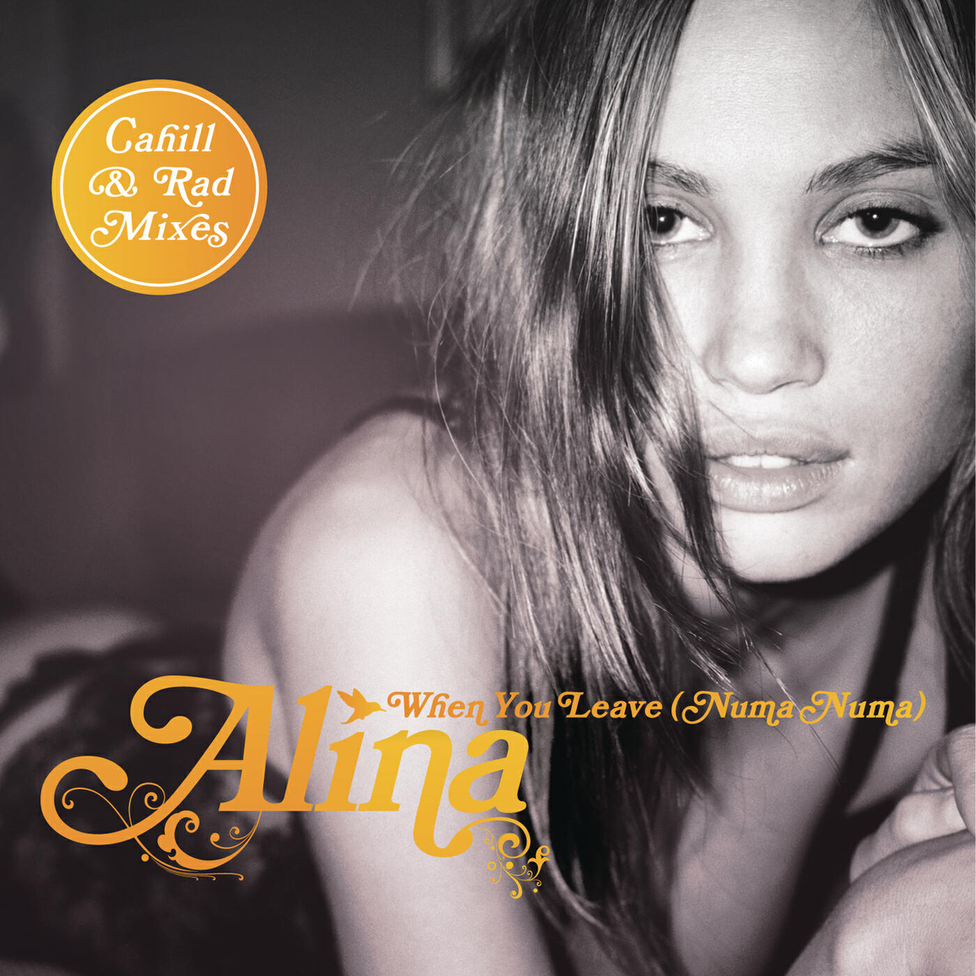 Релиз When You Leave (Numa Numa) [Remixes Part 2]