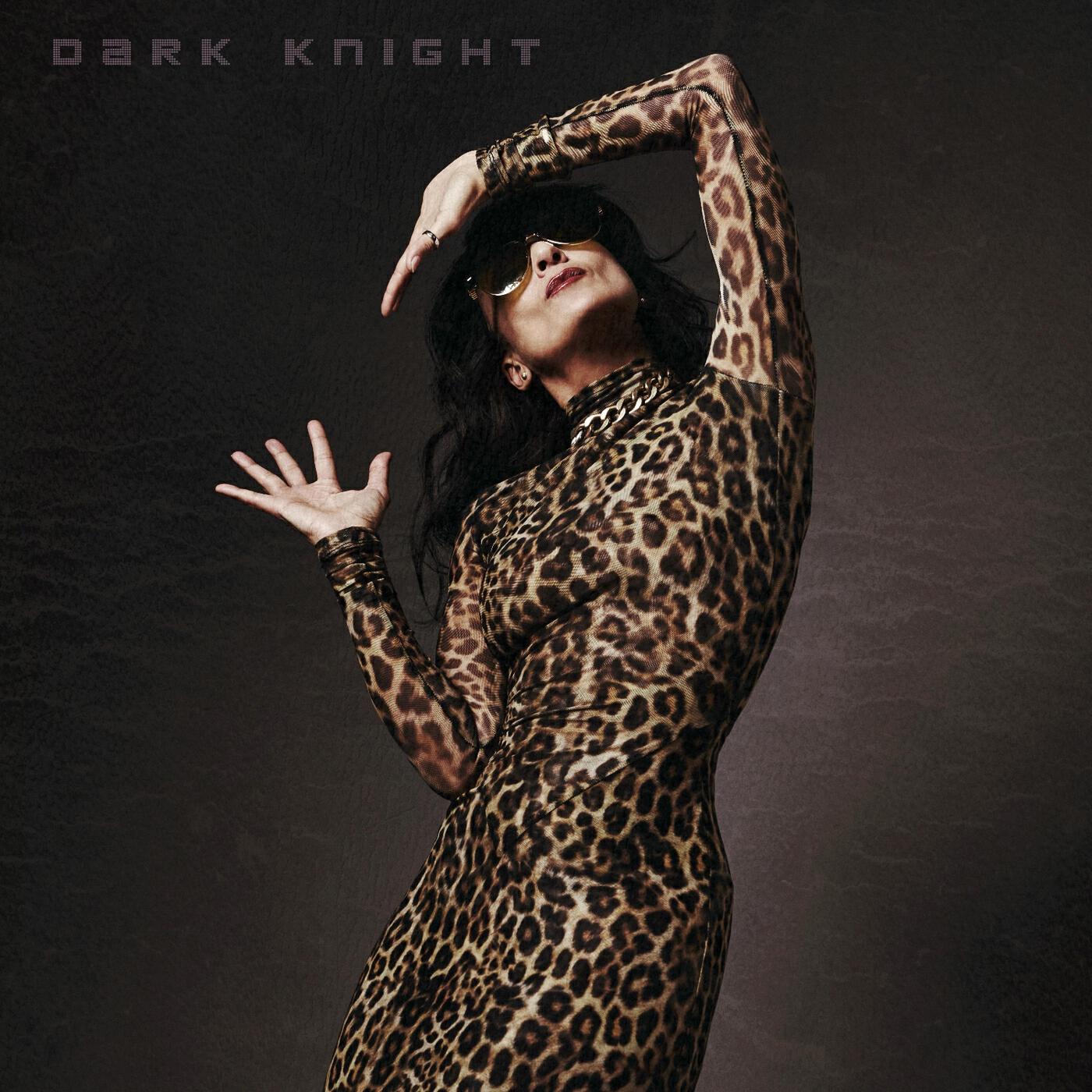 Релиз Dark Knight